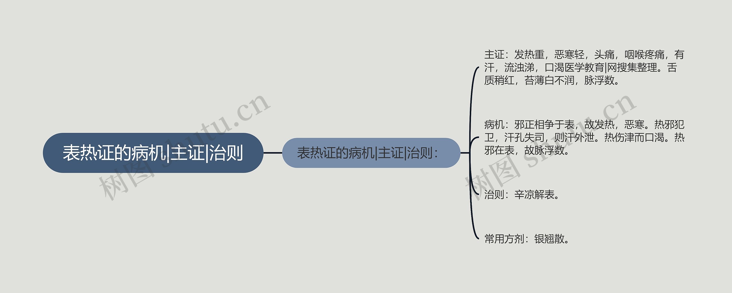 表热证的病机|主证|治则