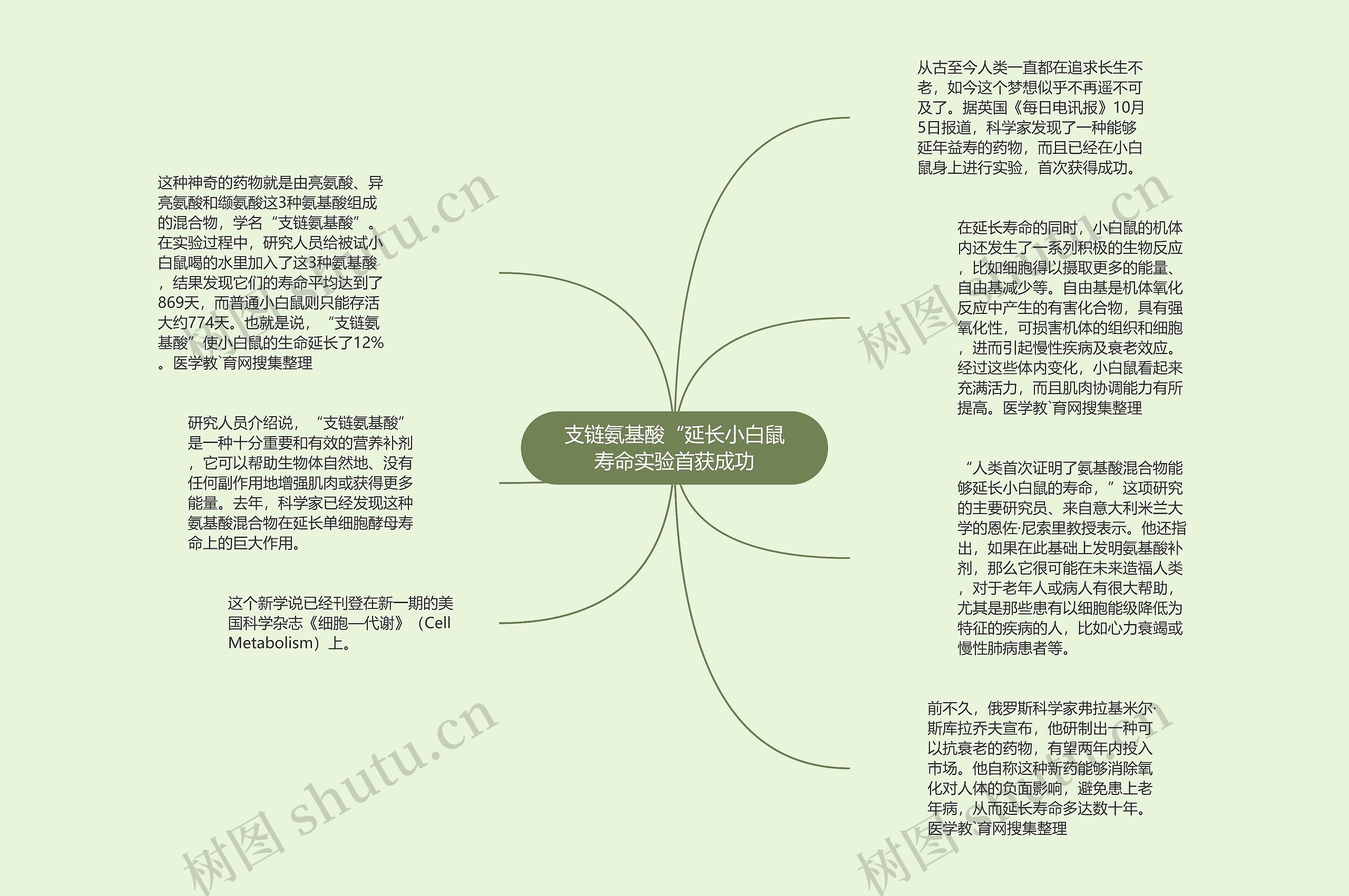 支链氨基酸“延长小白鼠寿命实验首获成功思维导图