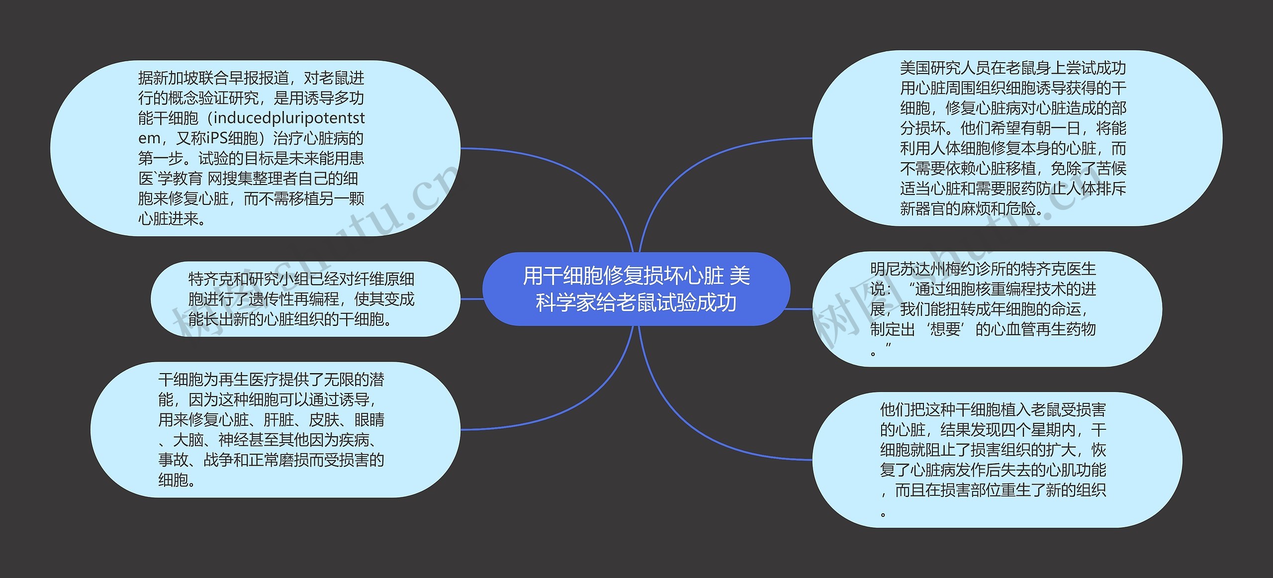 用干细胞修复损坏心脏 美科学家给老鼠试验成功