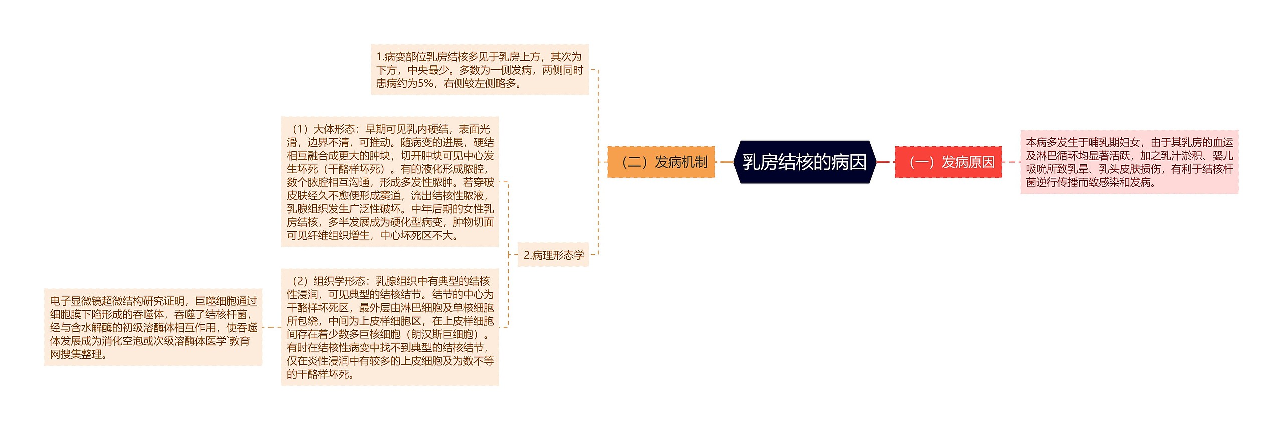 乳房结核的病因思维导图