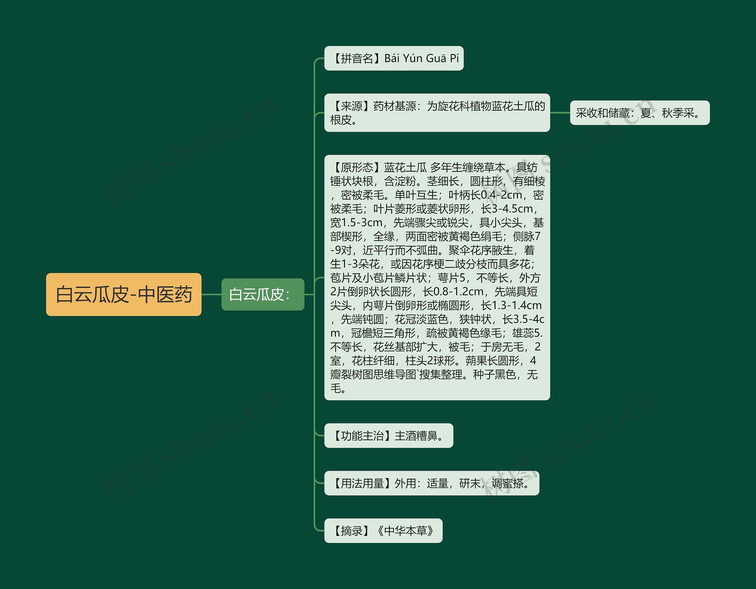 白云瓜皮-中医药思维导图