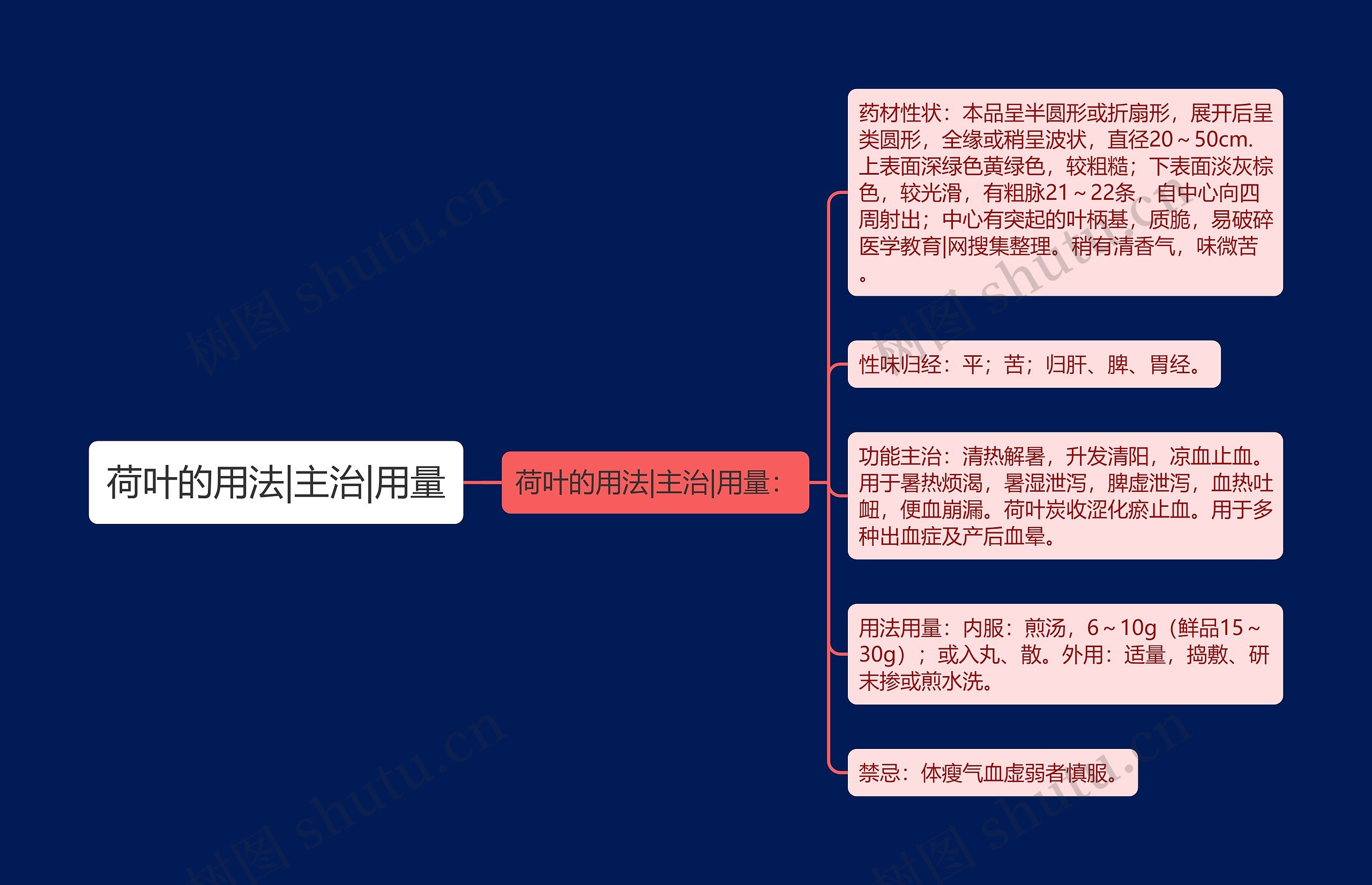 荷叶的用法|主治|用量思维导图