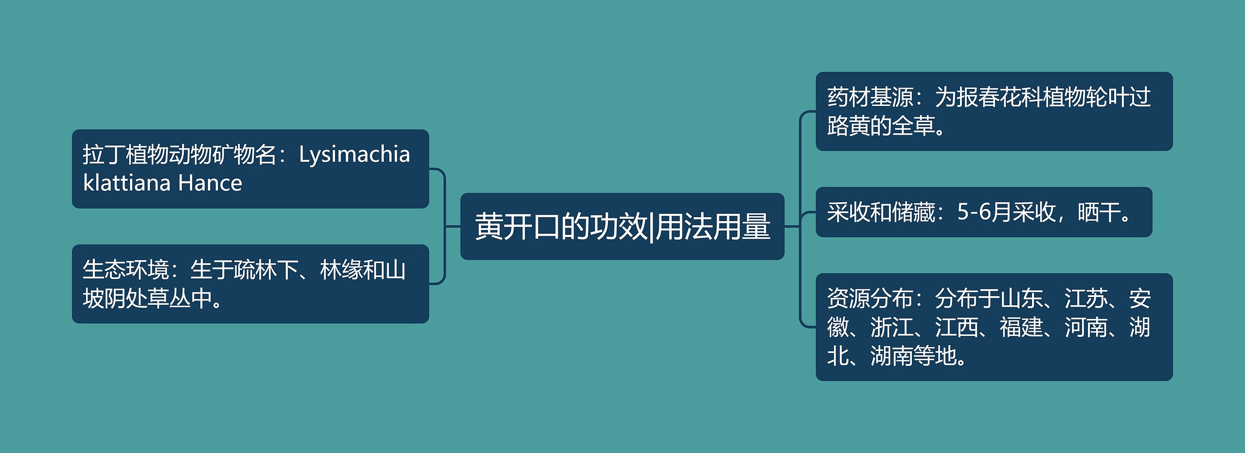 黄开口的功效|用法用量思维导图