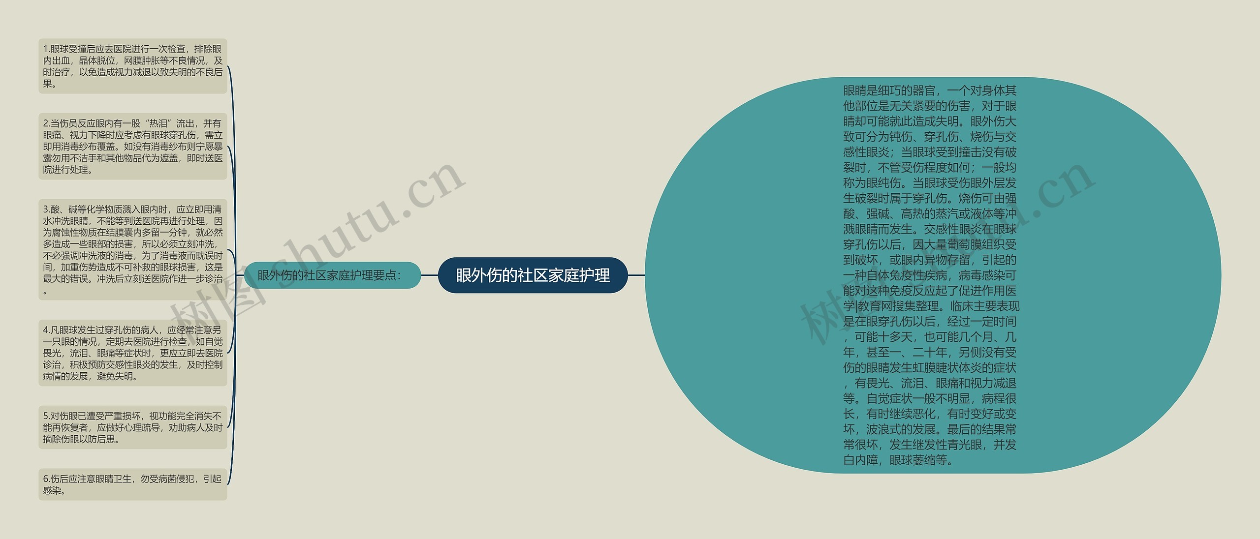 眼外伤的社区家庭护理思维导图