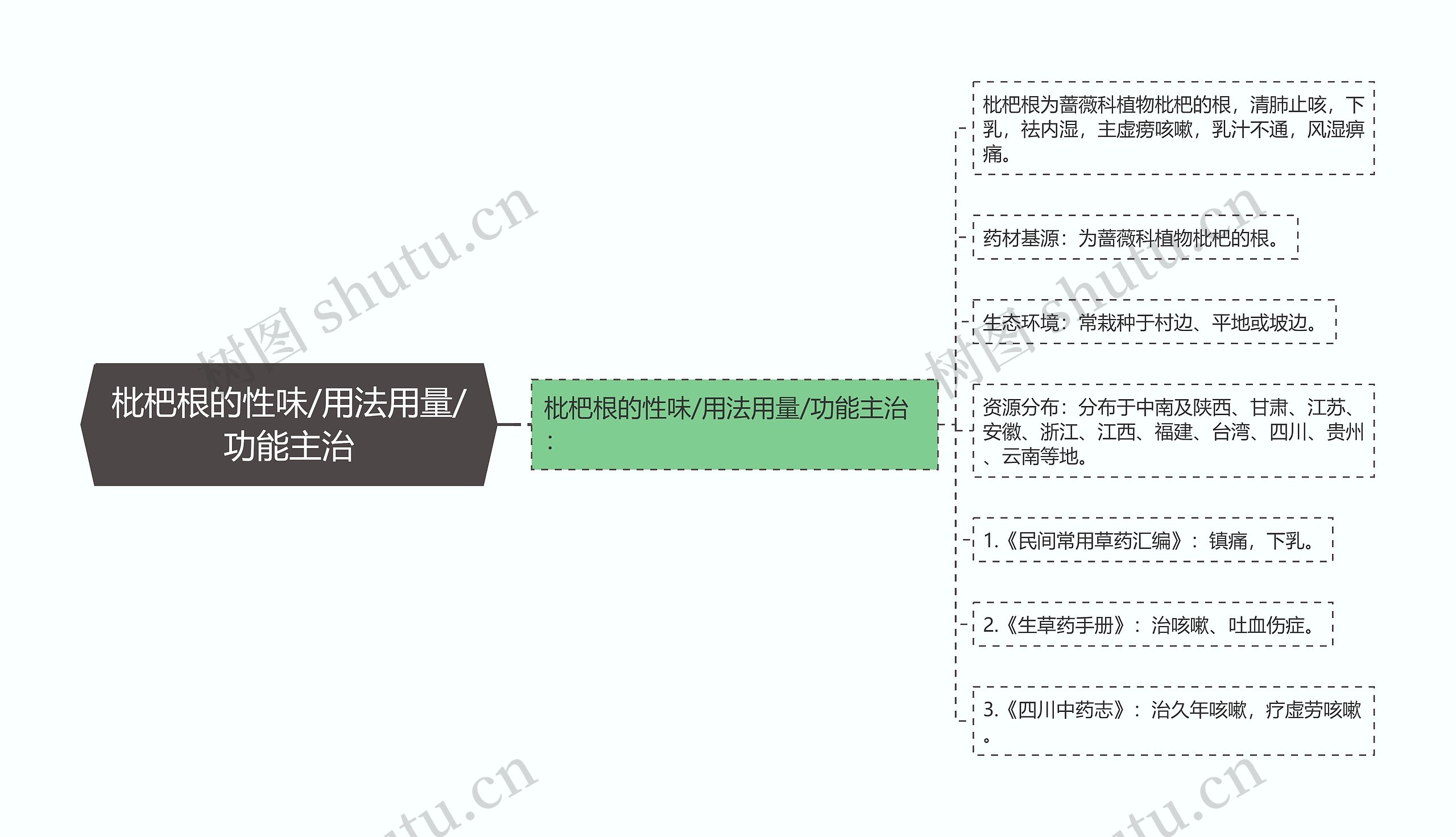 枇杷根的性味/用法用量/功能主治