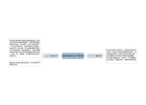 黄热病的治疗原则