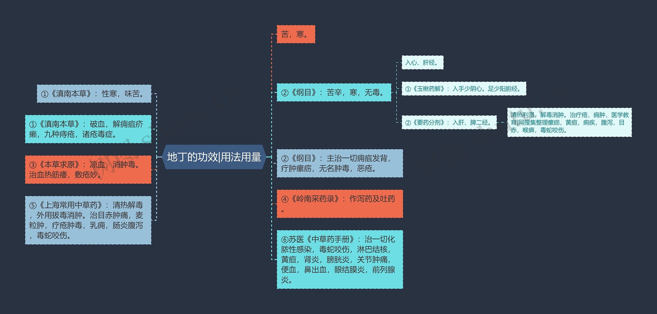 地丁的功效|用法用量思维导图