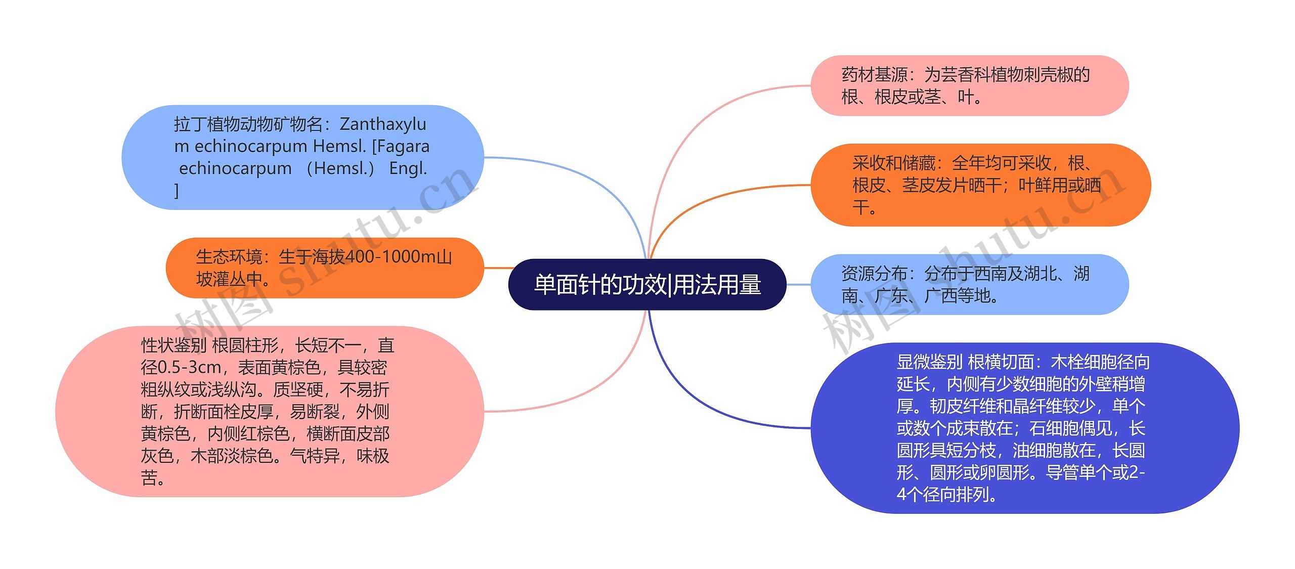 单面针的功效|用法用量思维导图