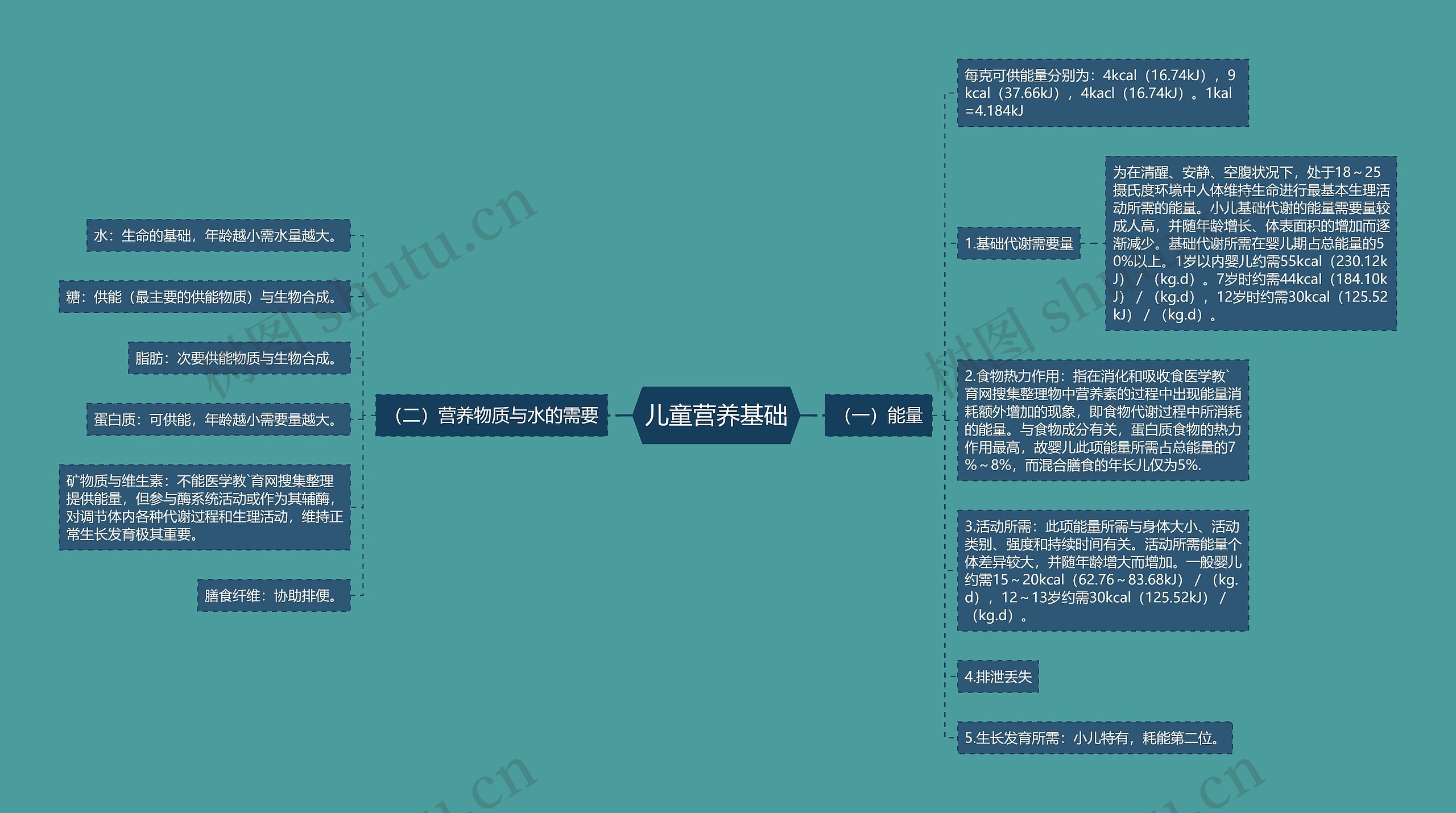 儿童营养基础思维导图