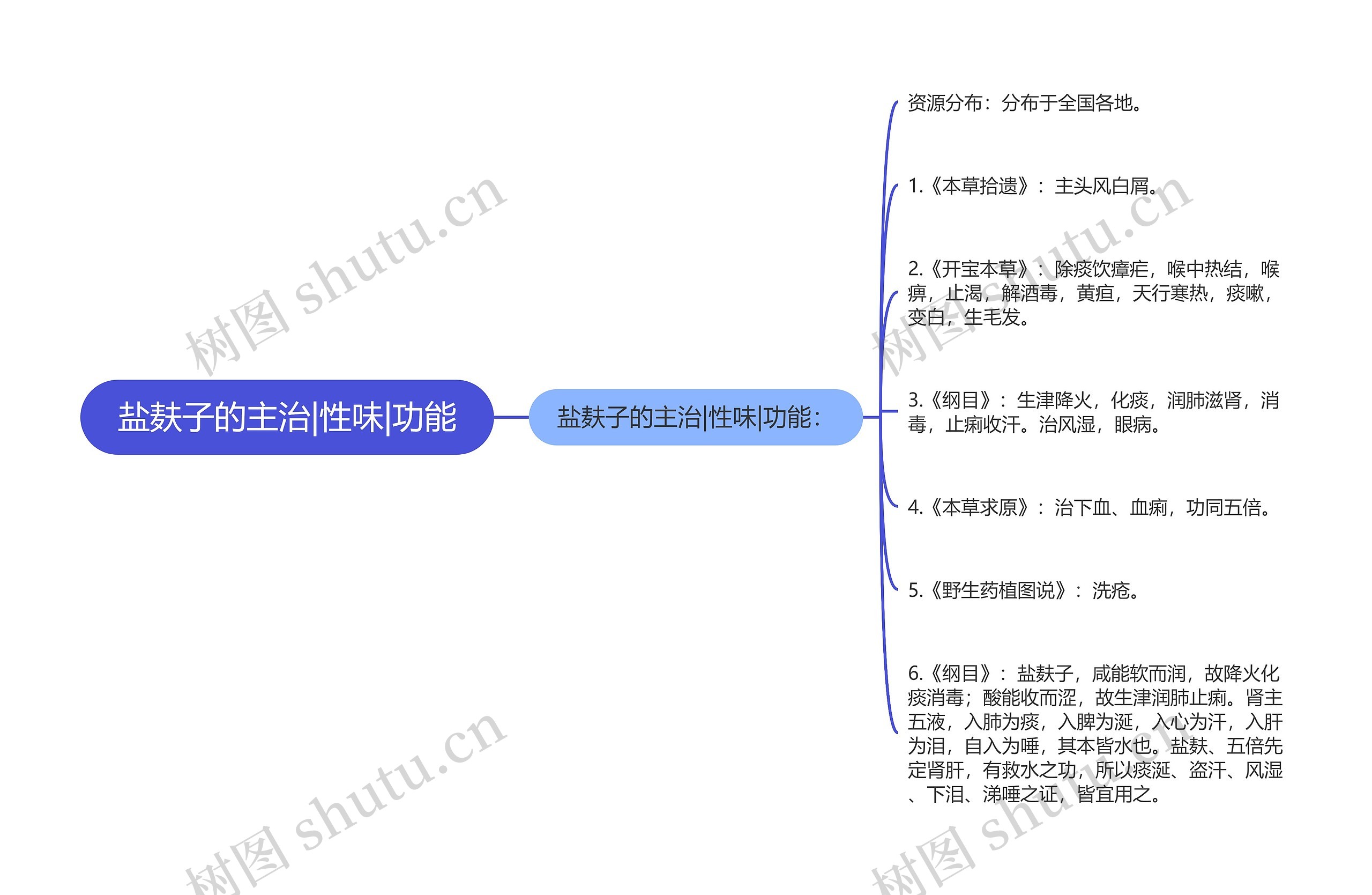 盐麸子的主治|性味|功能