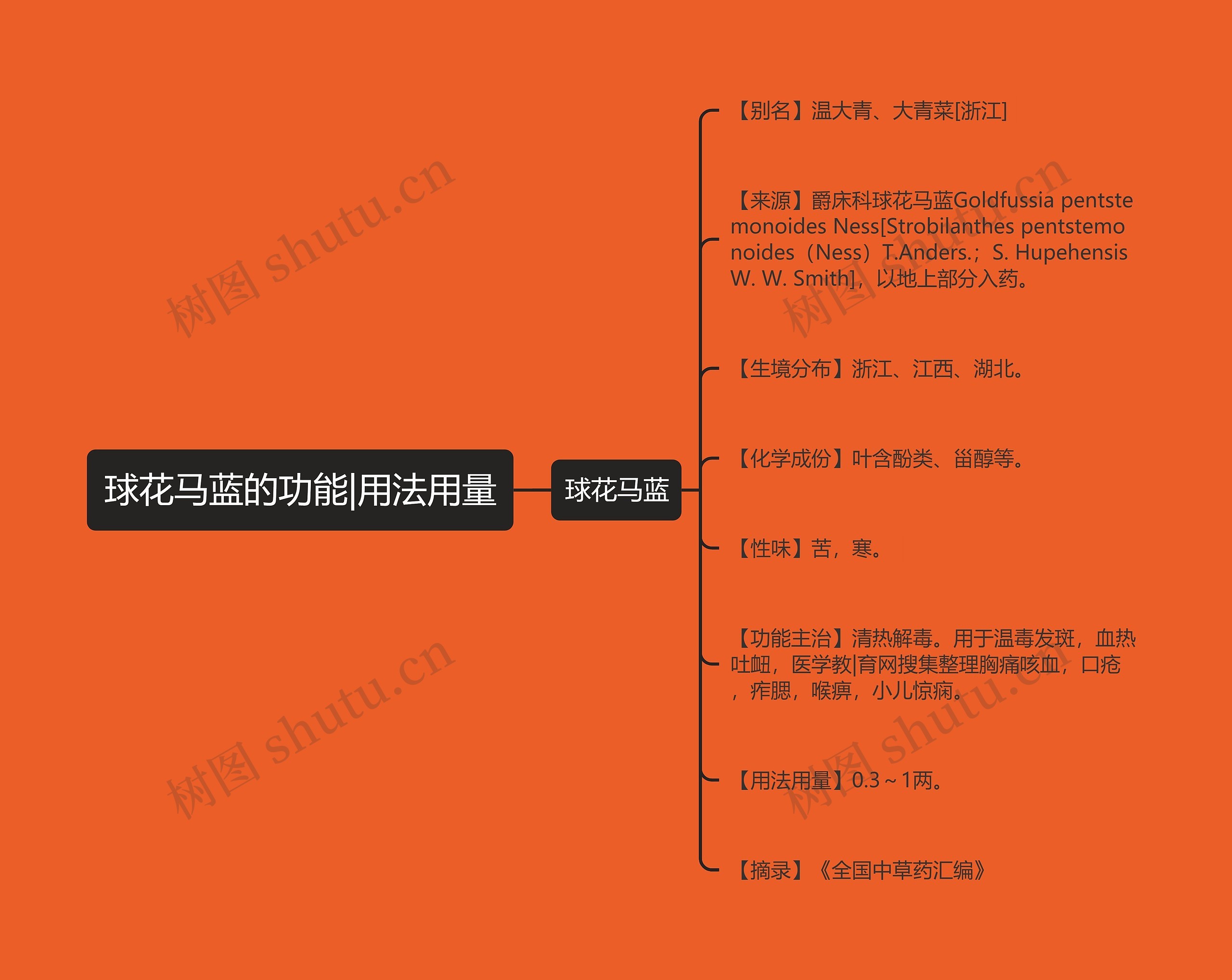 球花马蓝的功能|用法用量思维导图