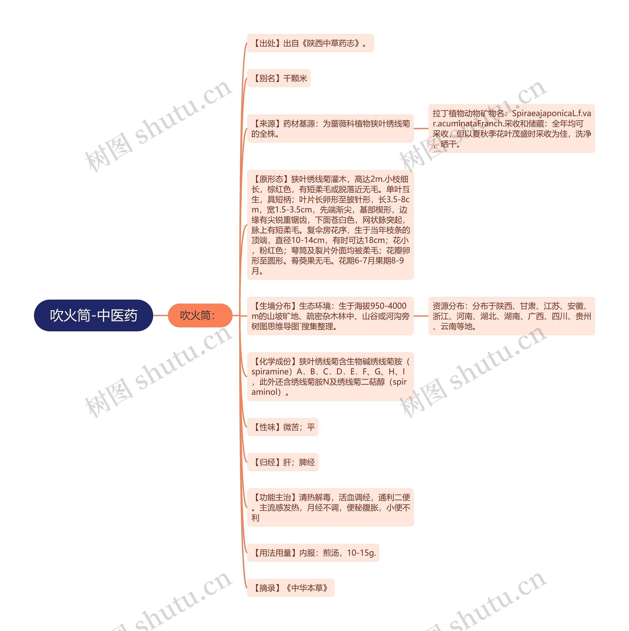 吹火筒-中医药思维导图