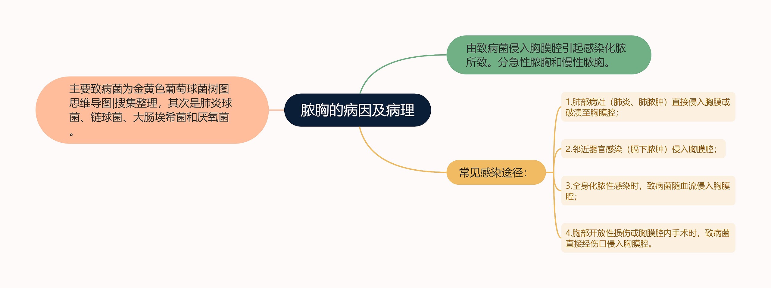 脓胸的病因及病理思维导图