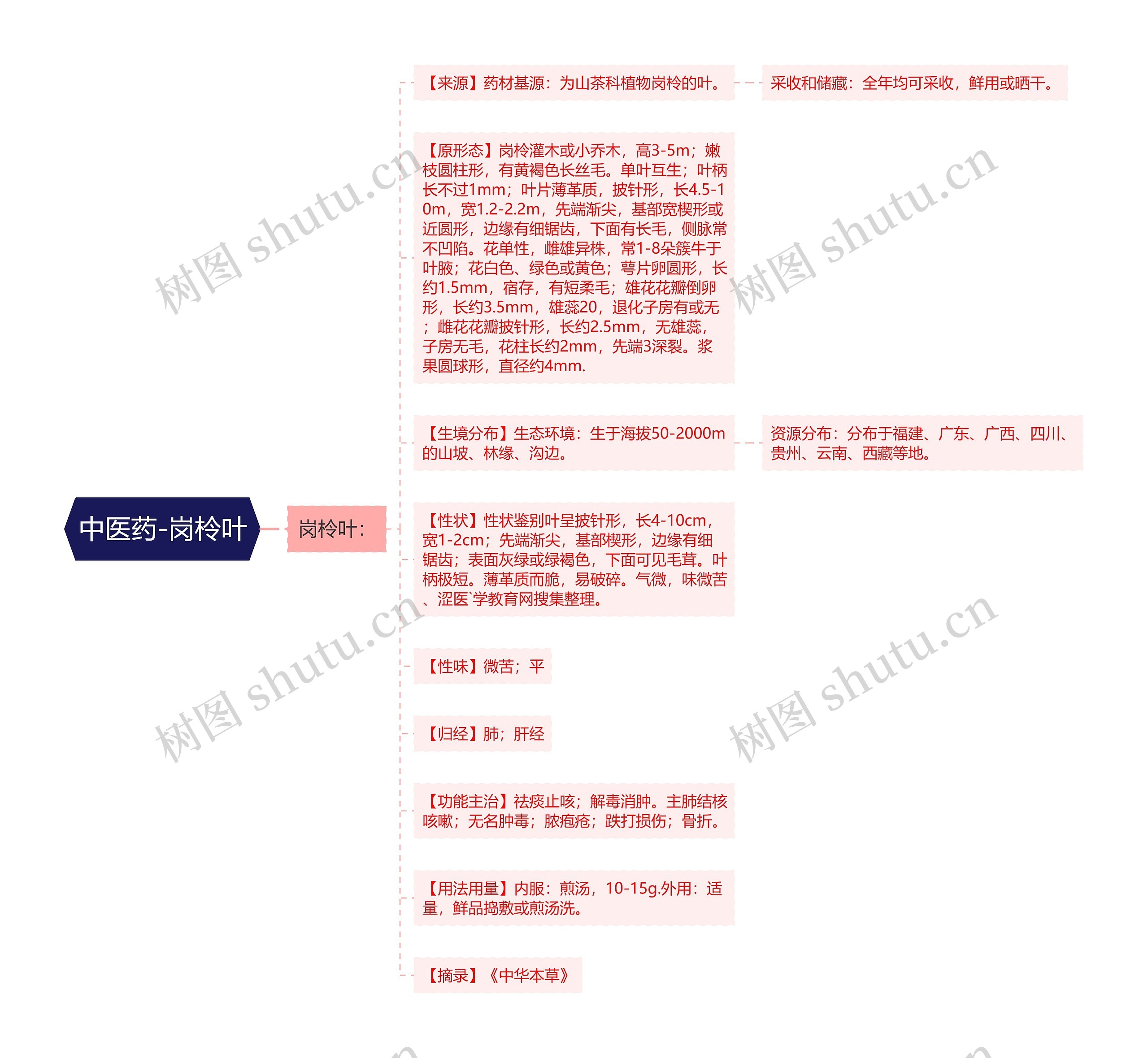 中医药-岗柃叶 中医药-岗柃叶