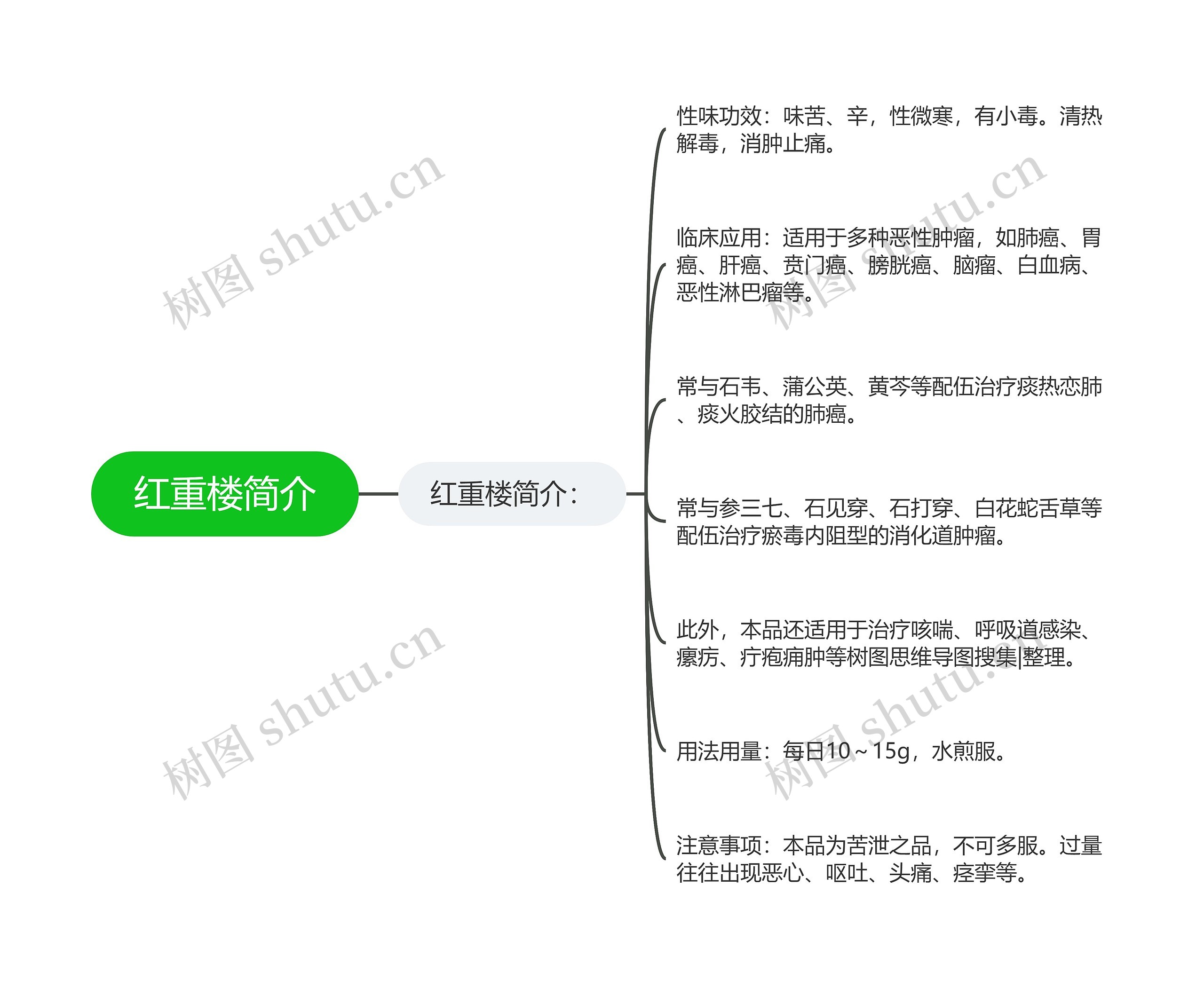 红重楼简介