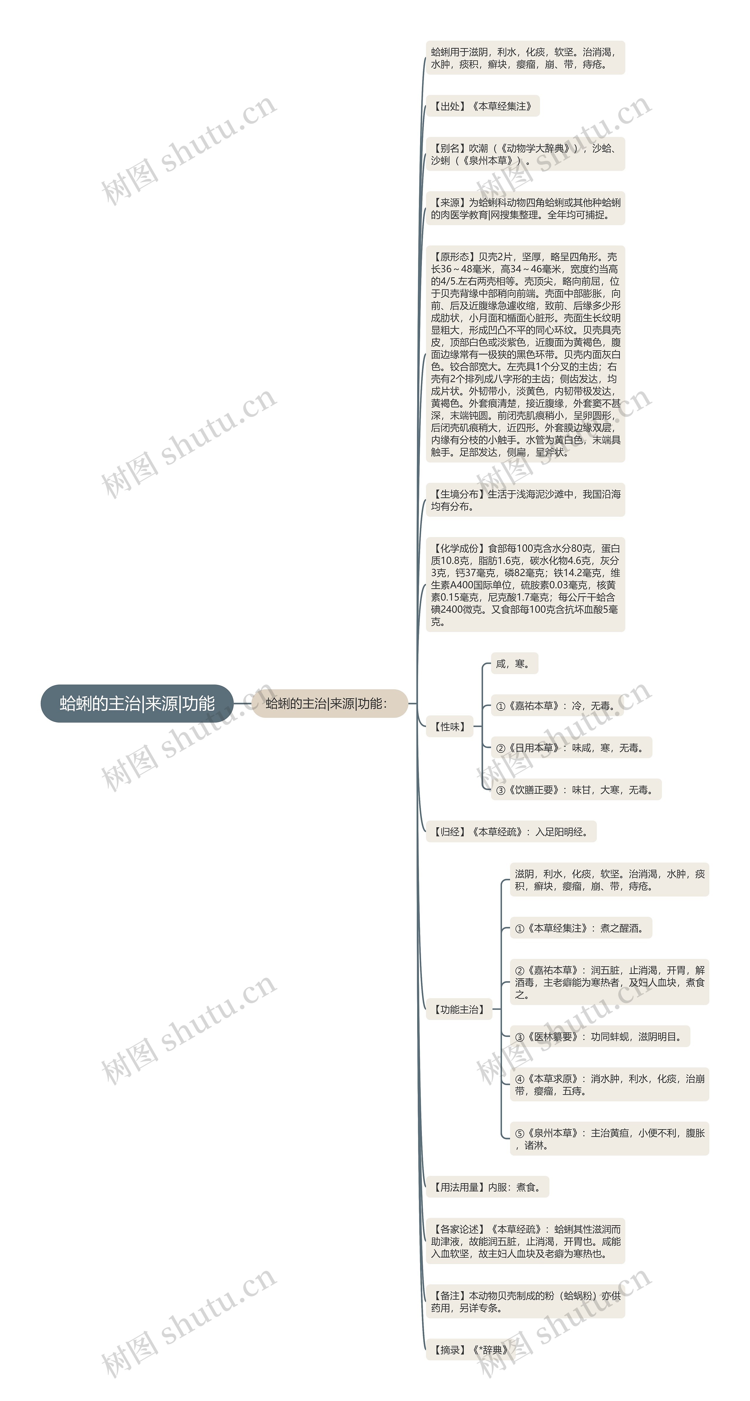 蛤蜊的主治|来源|功能思维导图高清图 蛤蜊的主治|来源|功能思维导图