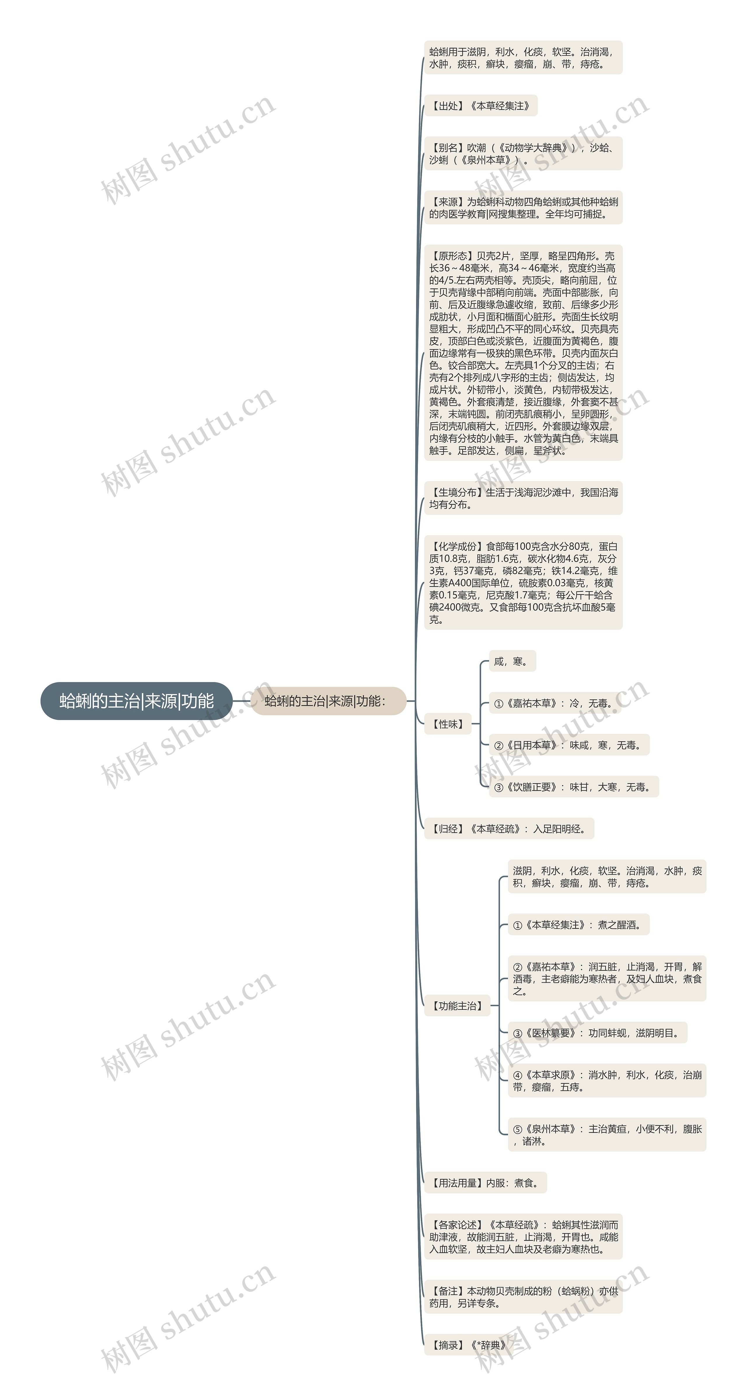蛤蜊的主治|来源|功能思维导图