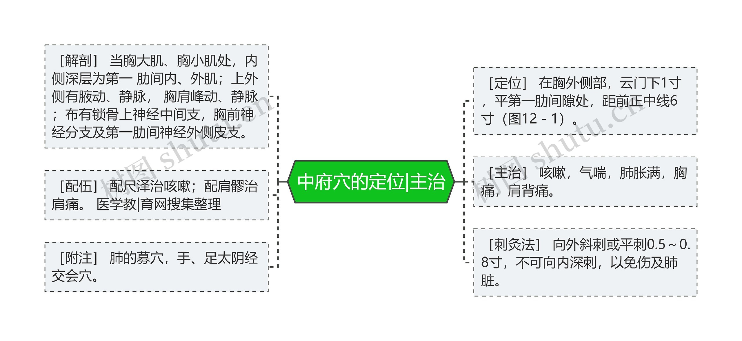 中府穴的定位|主治思维导图