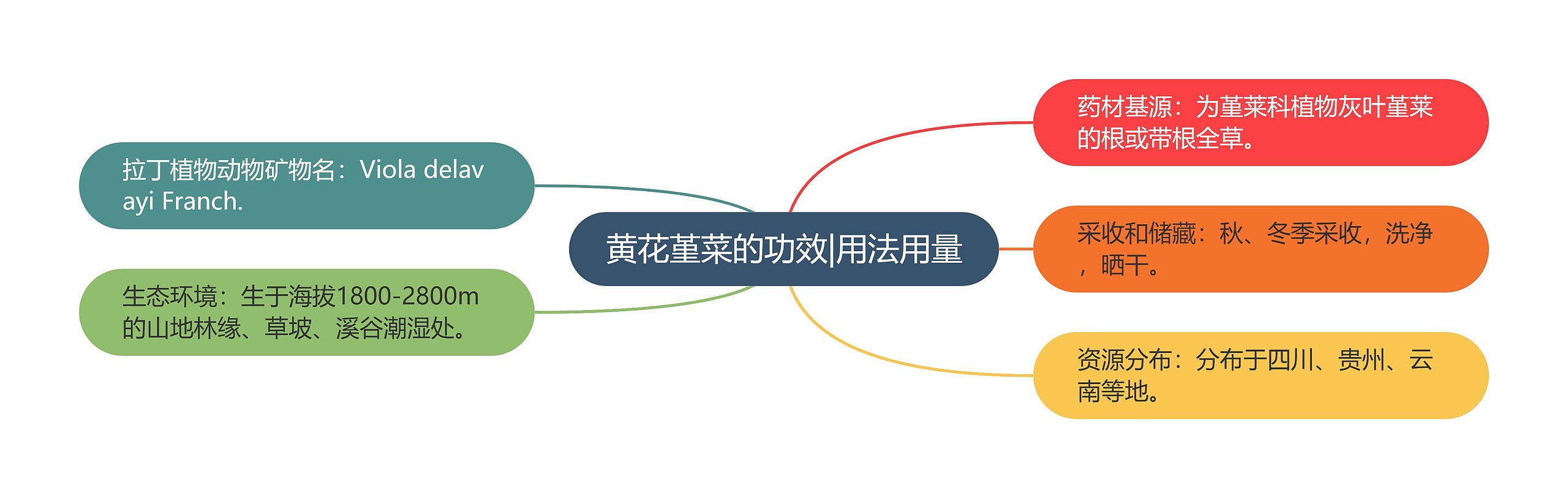 黄花堇菜的功效|用法用量 黄花堇菜的功效|用法用量