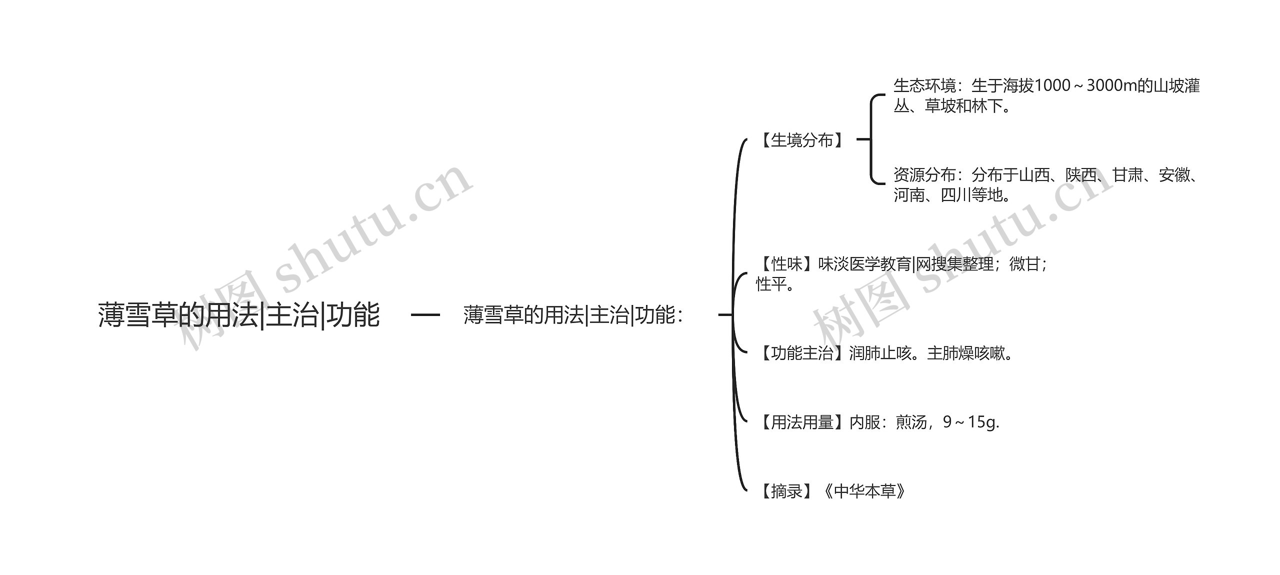 薄雪草的用法|主治|功能思维导图