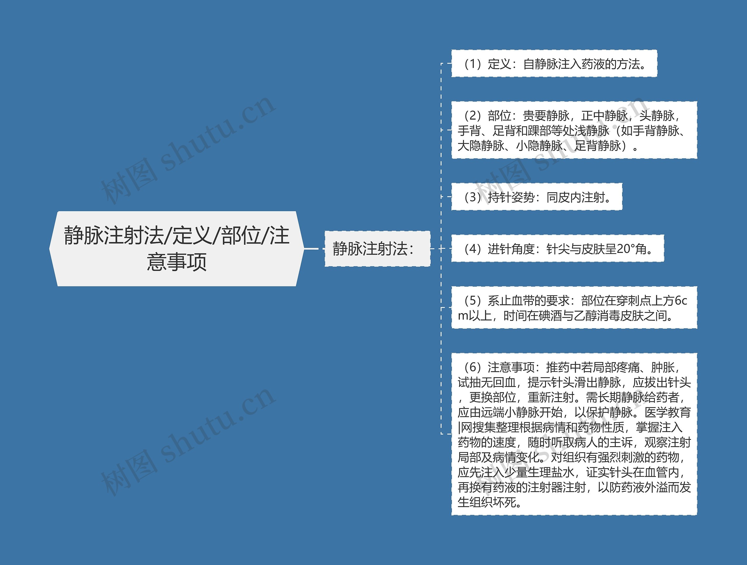 静脉注射法/定义/部位/注意事项思维导图