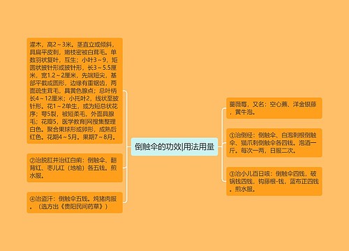倒触伞的功效|用法用量