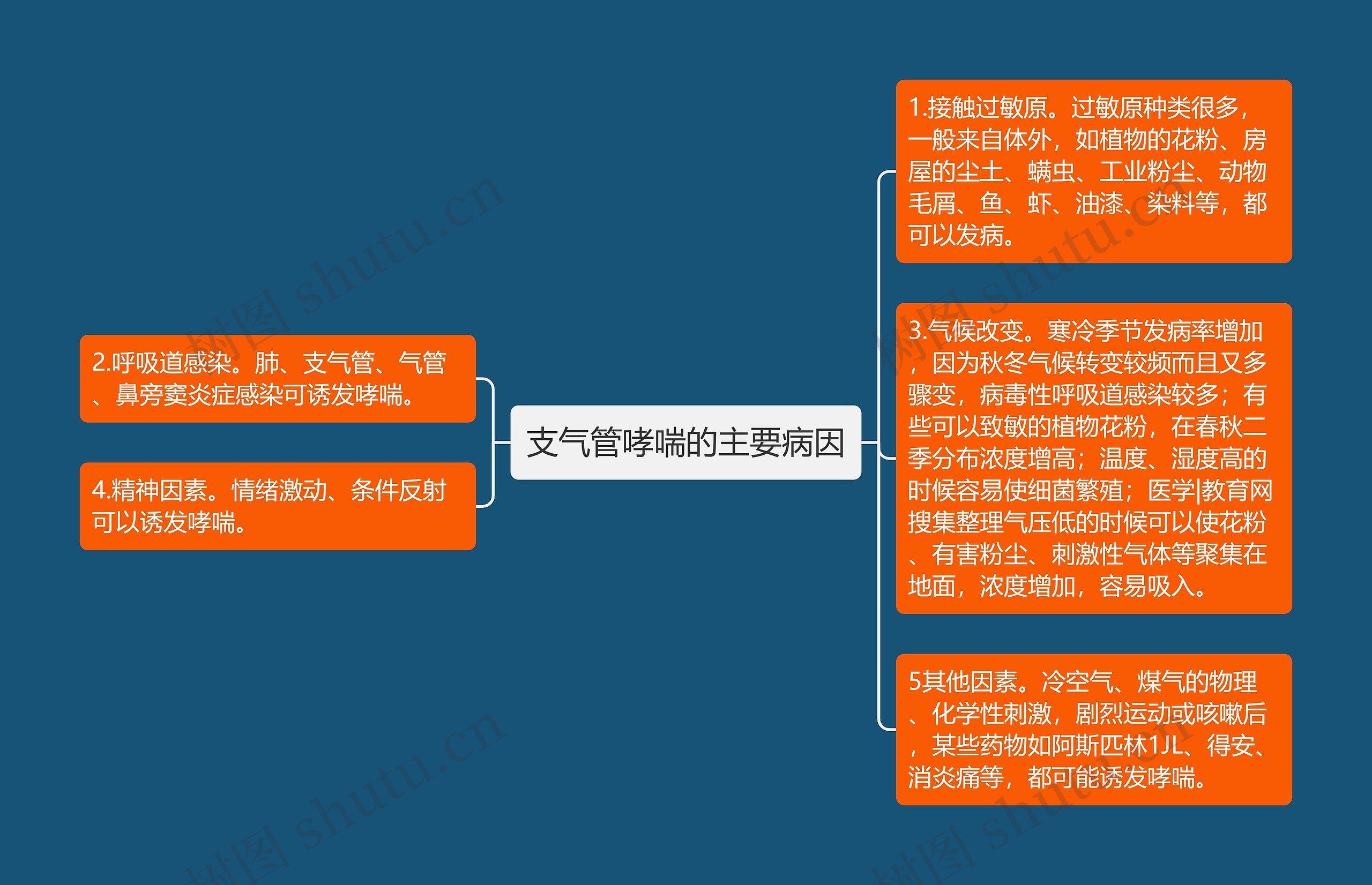 支气管哮喘的主要病因