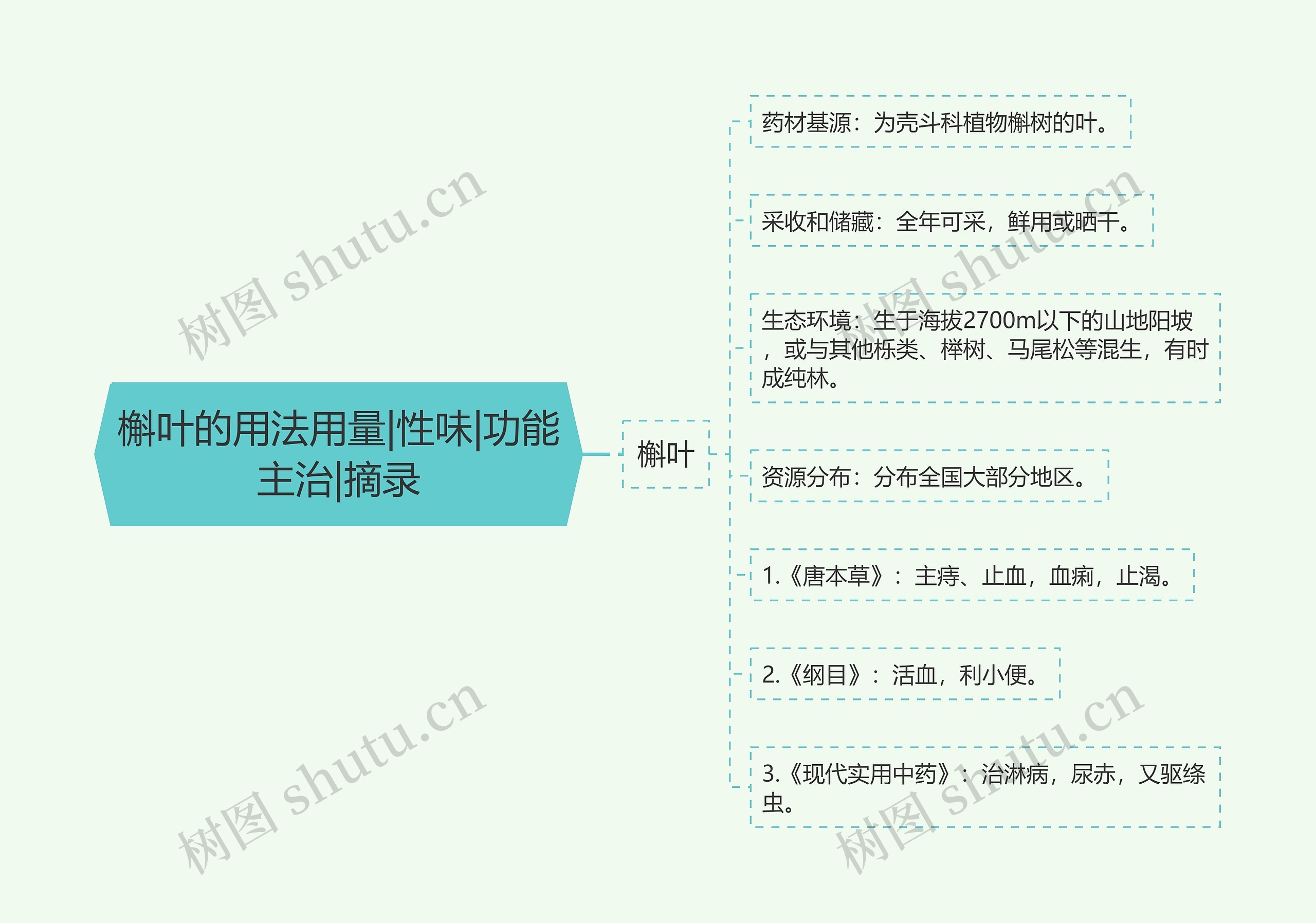 槲叶的用法用量|性味|功能主治|摘录 槲叶的用法用量|性味|功能主治|摘录
