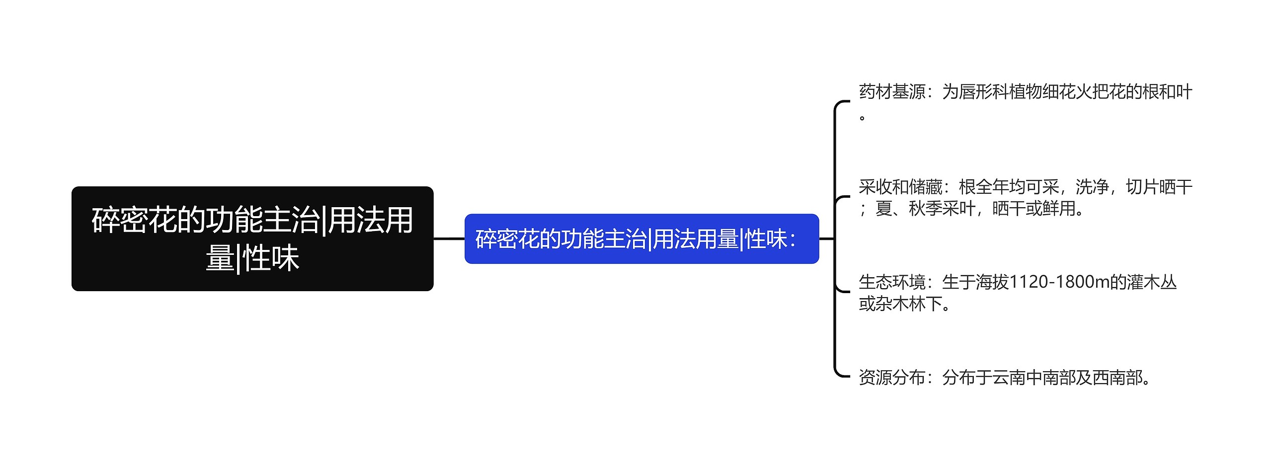 碎密花的功能主治|用法用量|性味