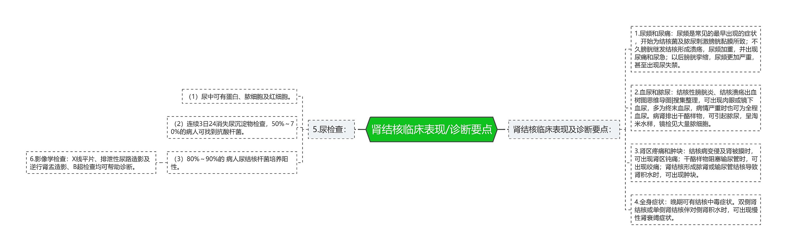 肾结核临床表现/诊断要点思维导图