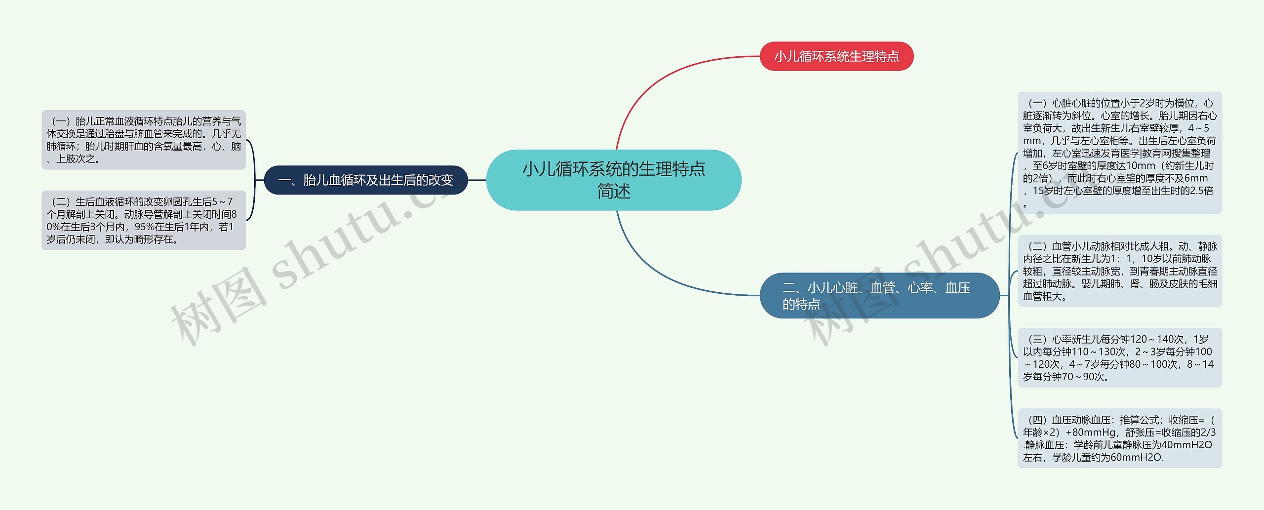 小儿循环系统的生理特点简述思维导图