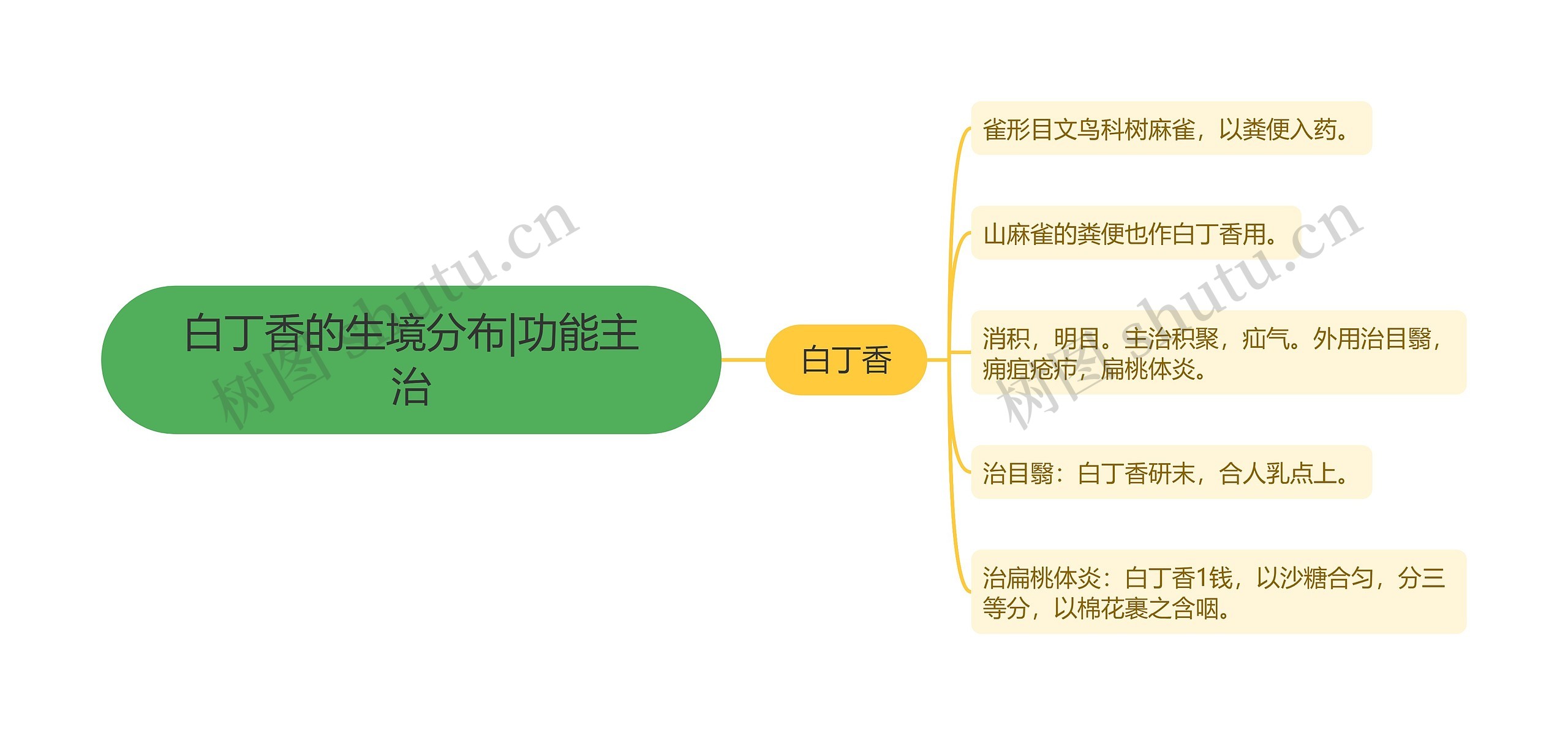 白丁香的生境分布|功能主治思维导图