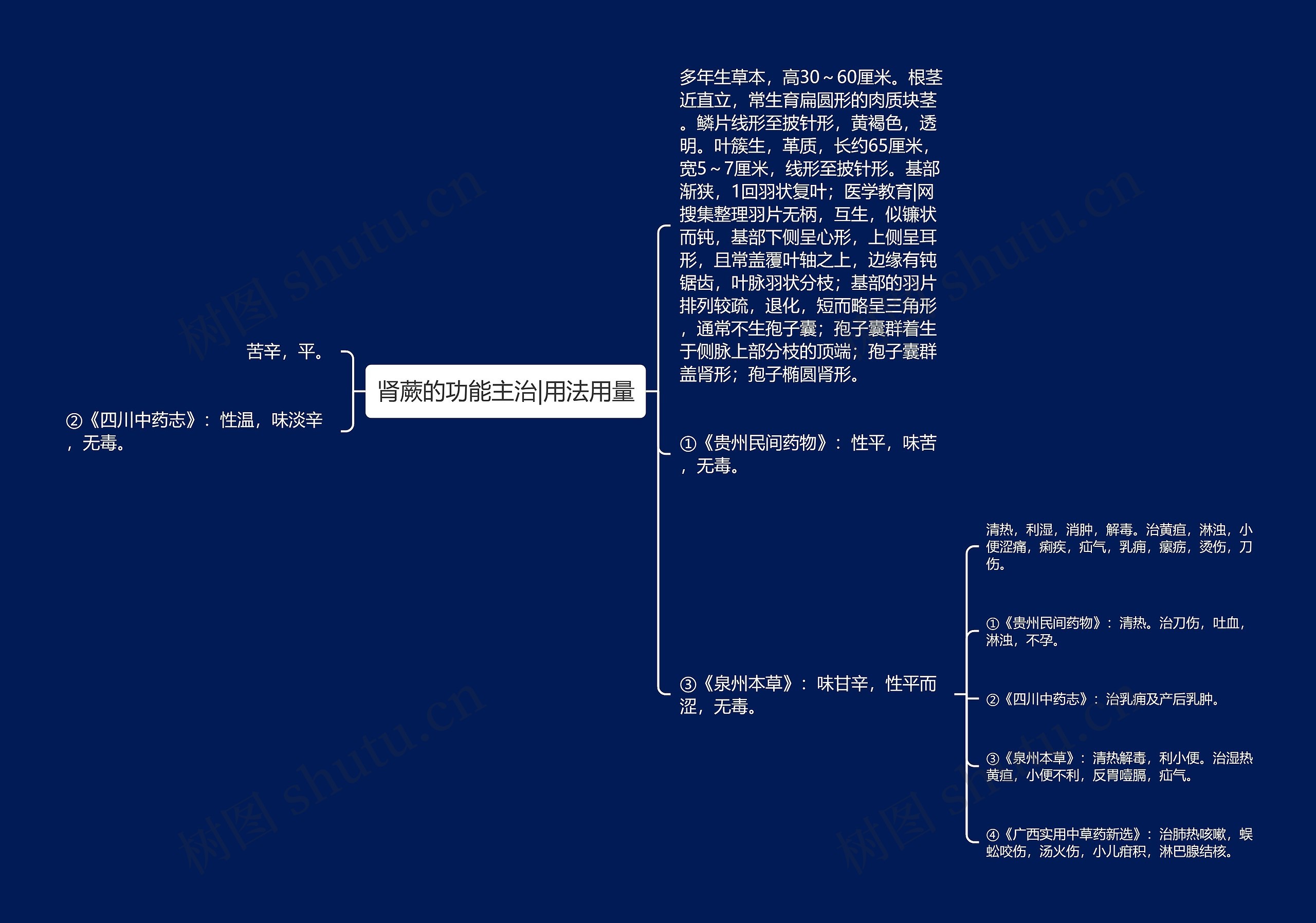 肾蕨的功能主治|用法用量思维导图