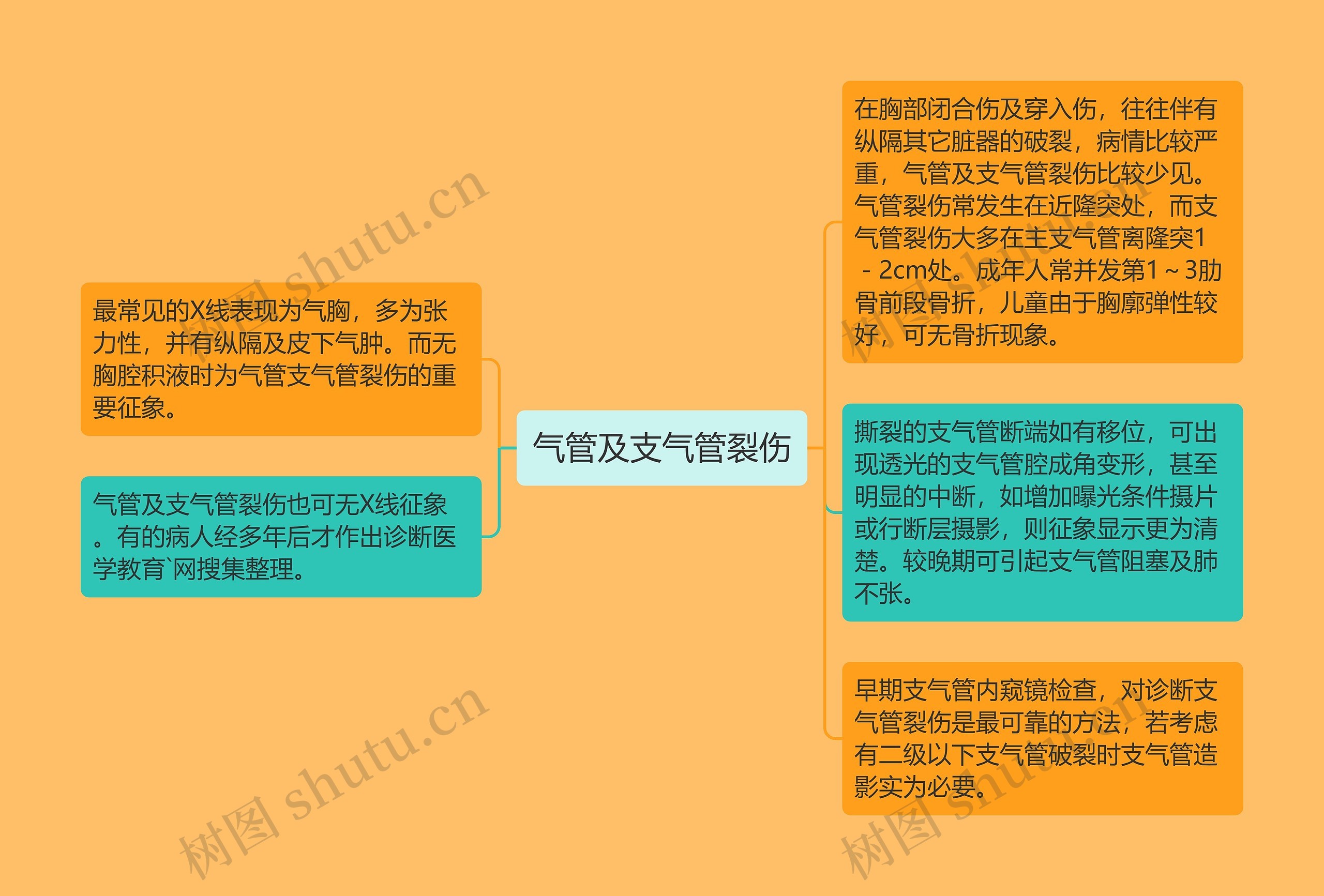 气管及支气管裂伤思维导图