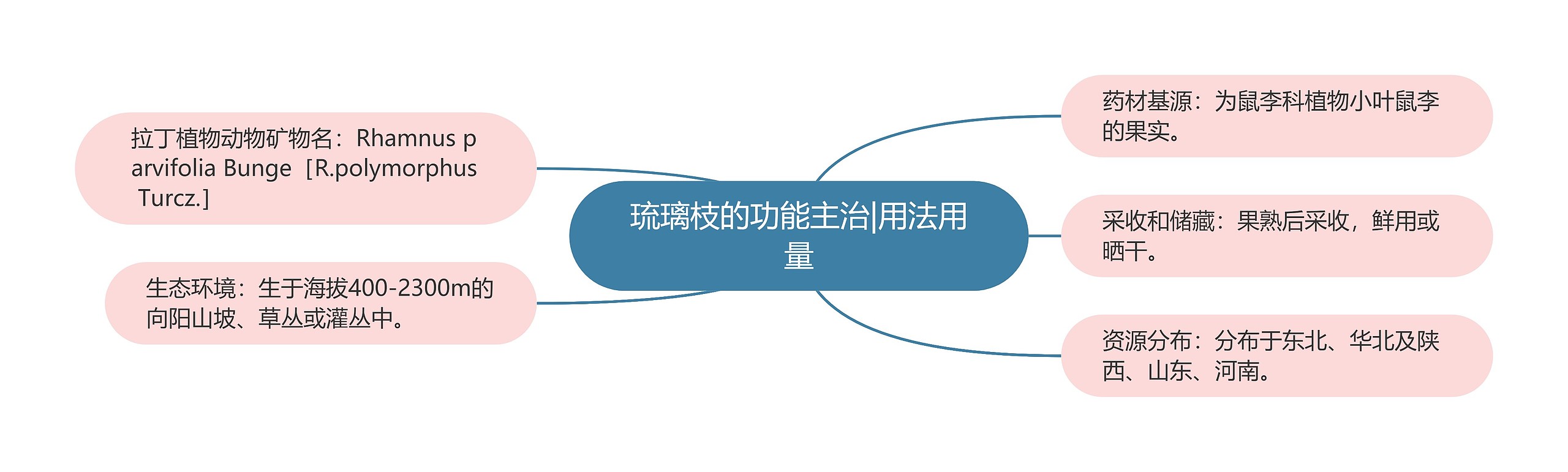 琉璃枝的功能主治|用法用量 琉璃枝的功能主治|用法用量