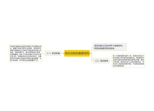 颈总动脉的重要结构