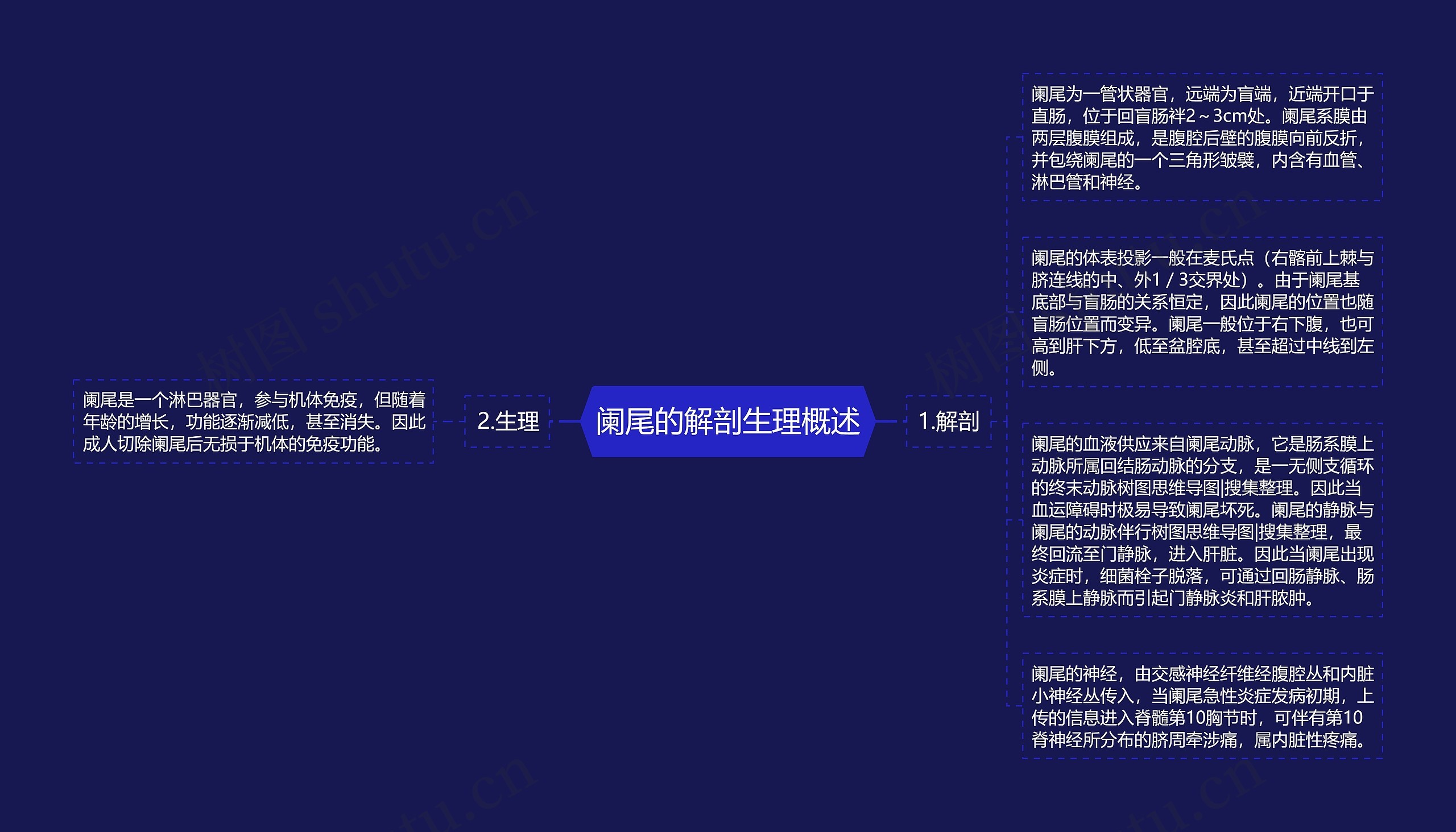 阑尾的解剖生理概述 阑尾的解剖生理概述