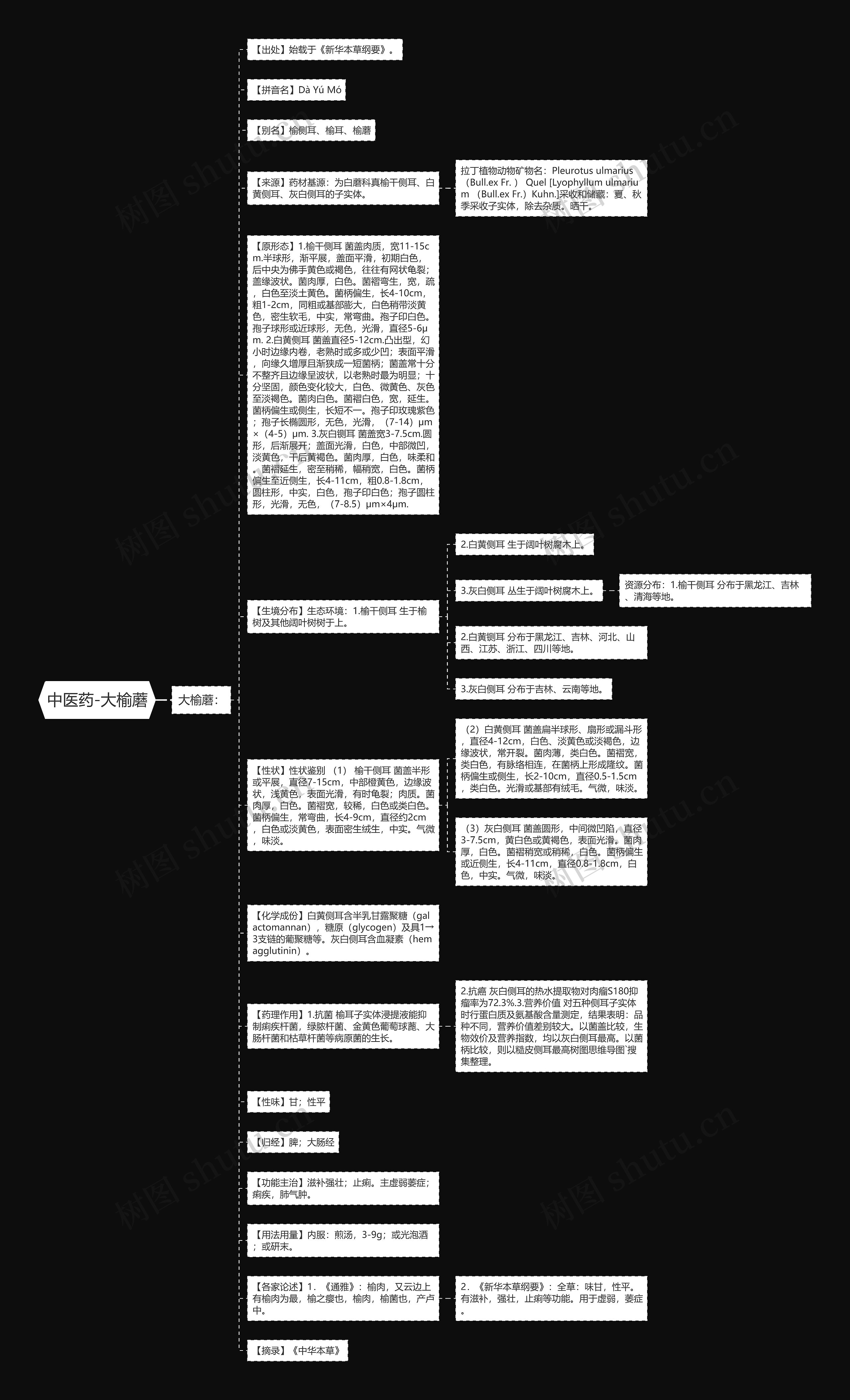中医药-大榆蘑思维导图
