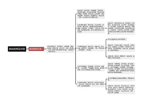 肺炎的辩证分型