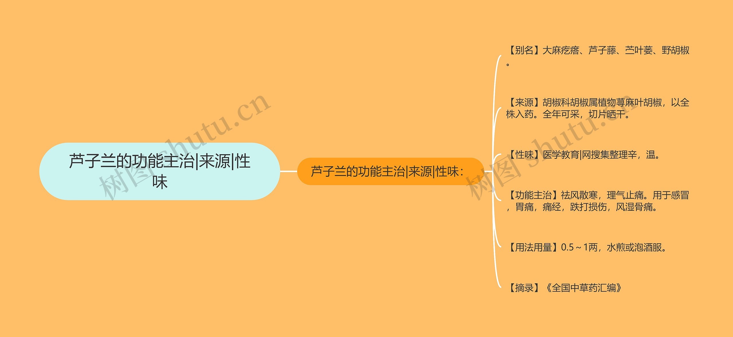 芦子兰的功能主治|来源|性味