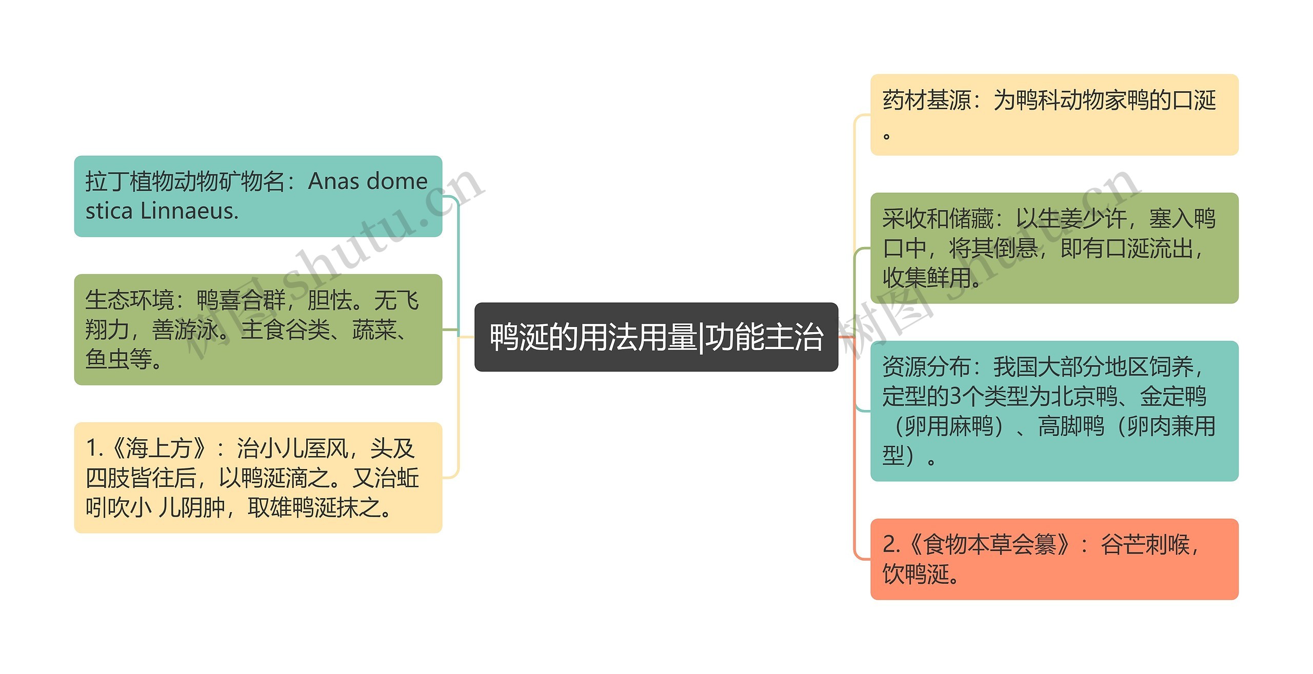 鸭涎的用法用量|功能主治思维导图