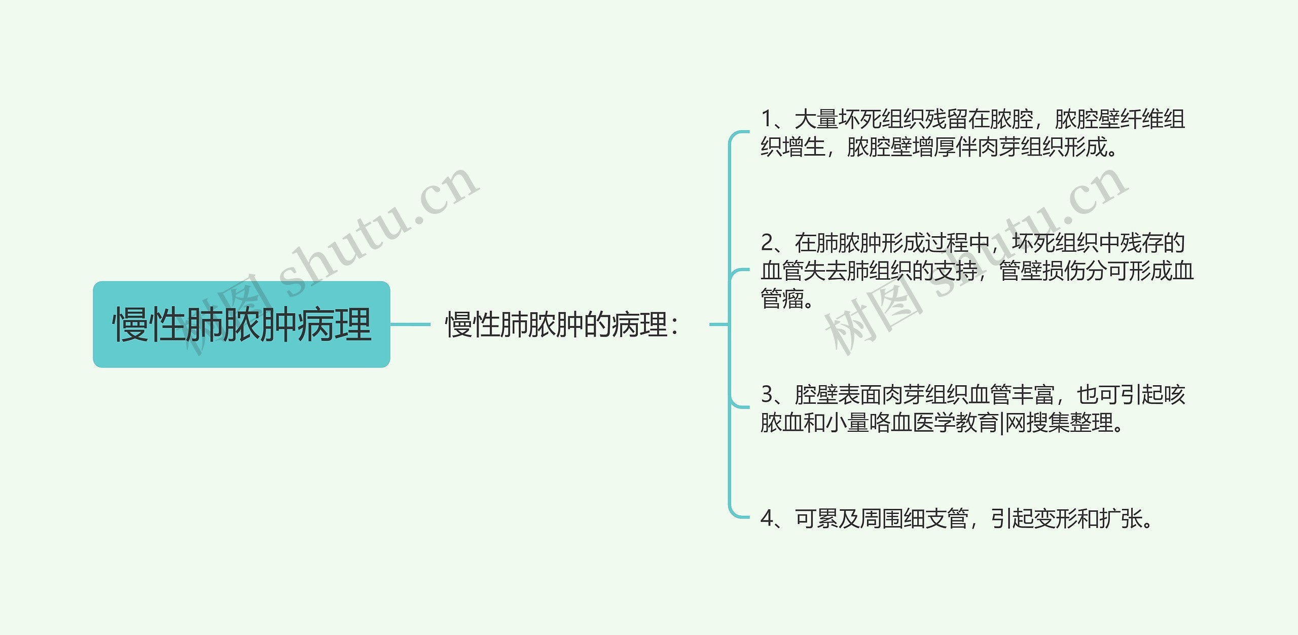 慢性肺脓肿病理思维导图