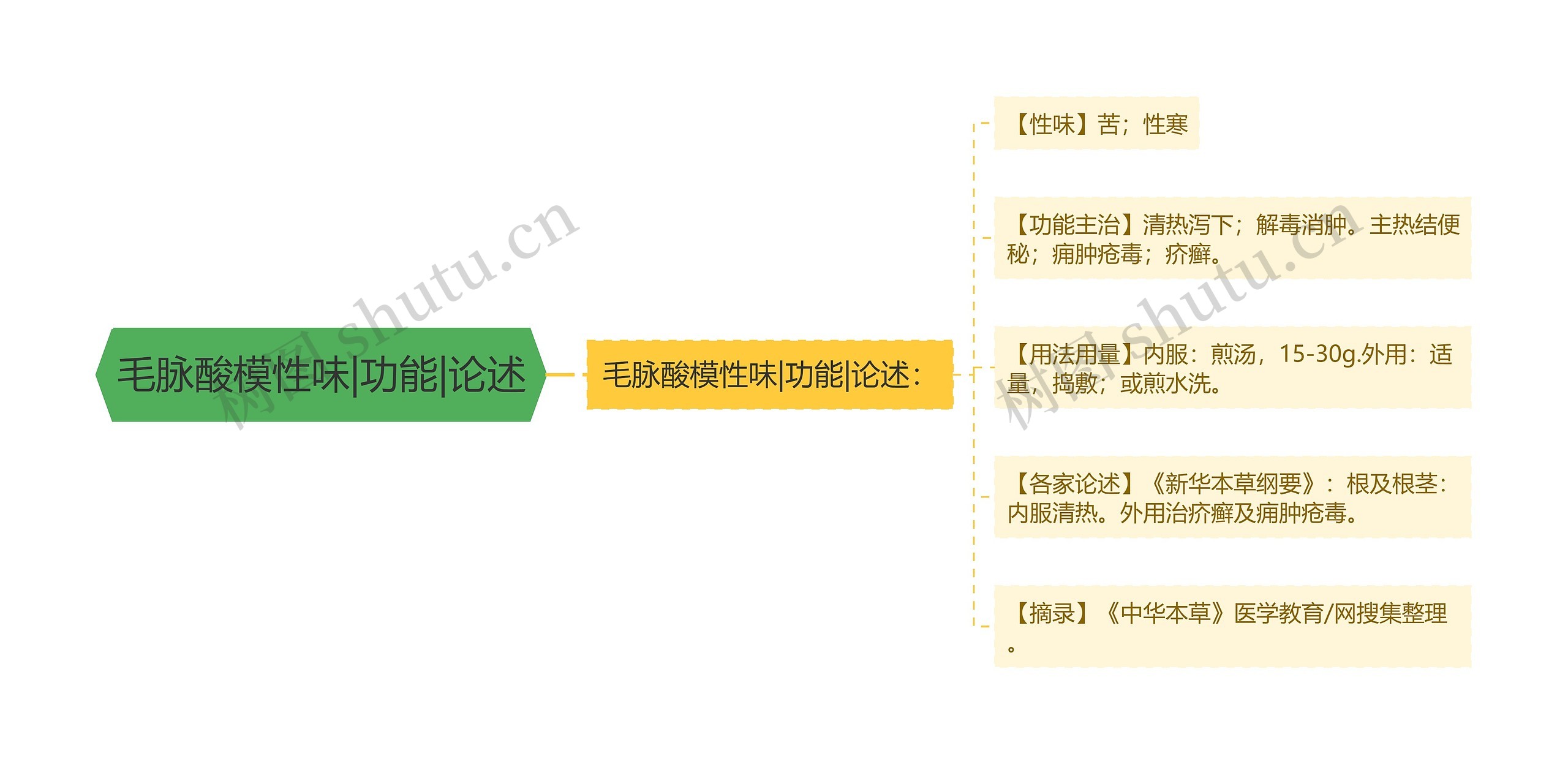 毛脉酸模性味|功能|论述思维导图