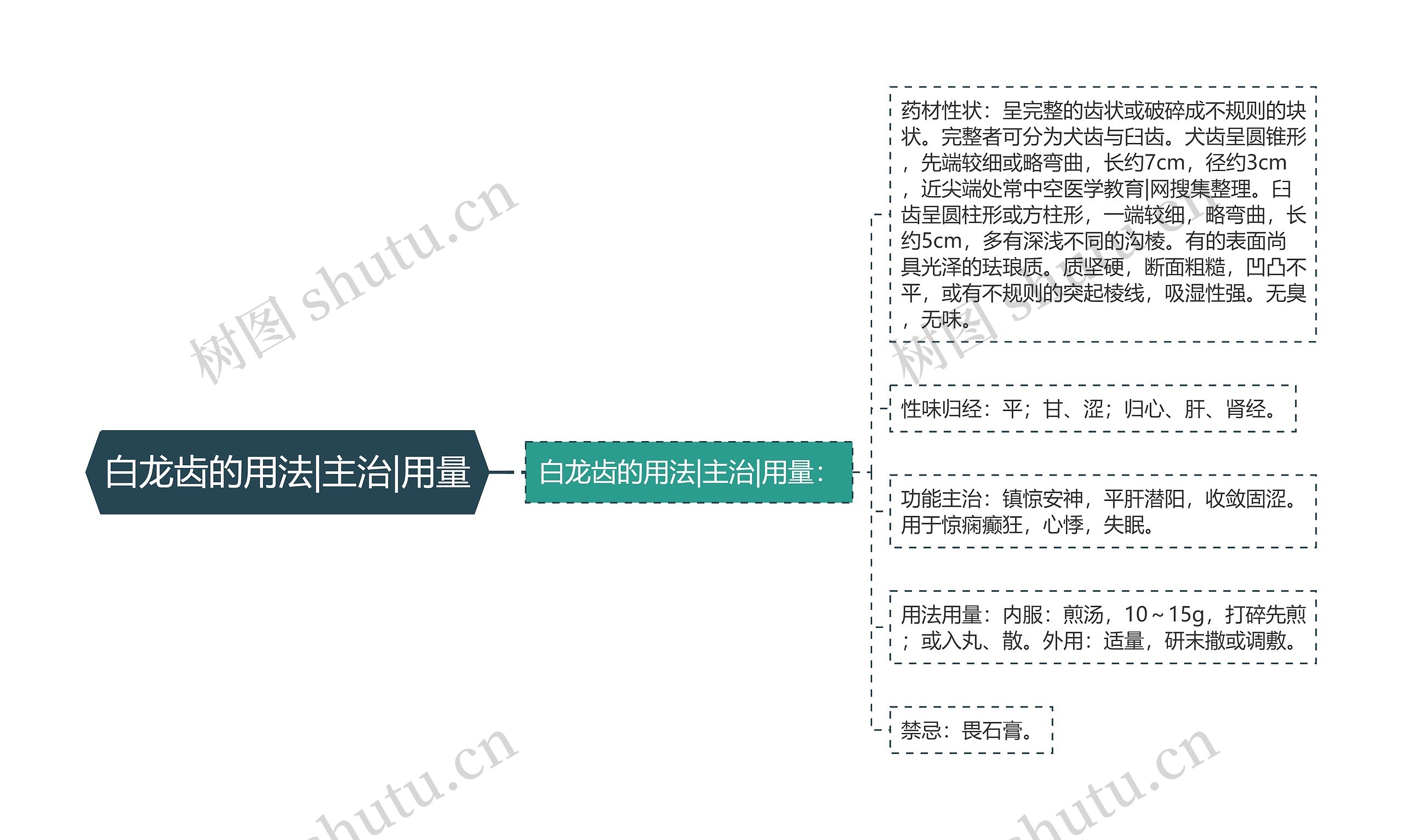 白龙齿的用法|主治|用量思维导图