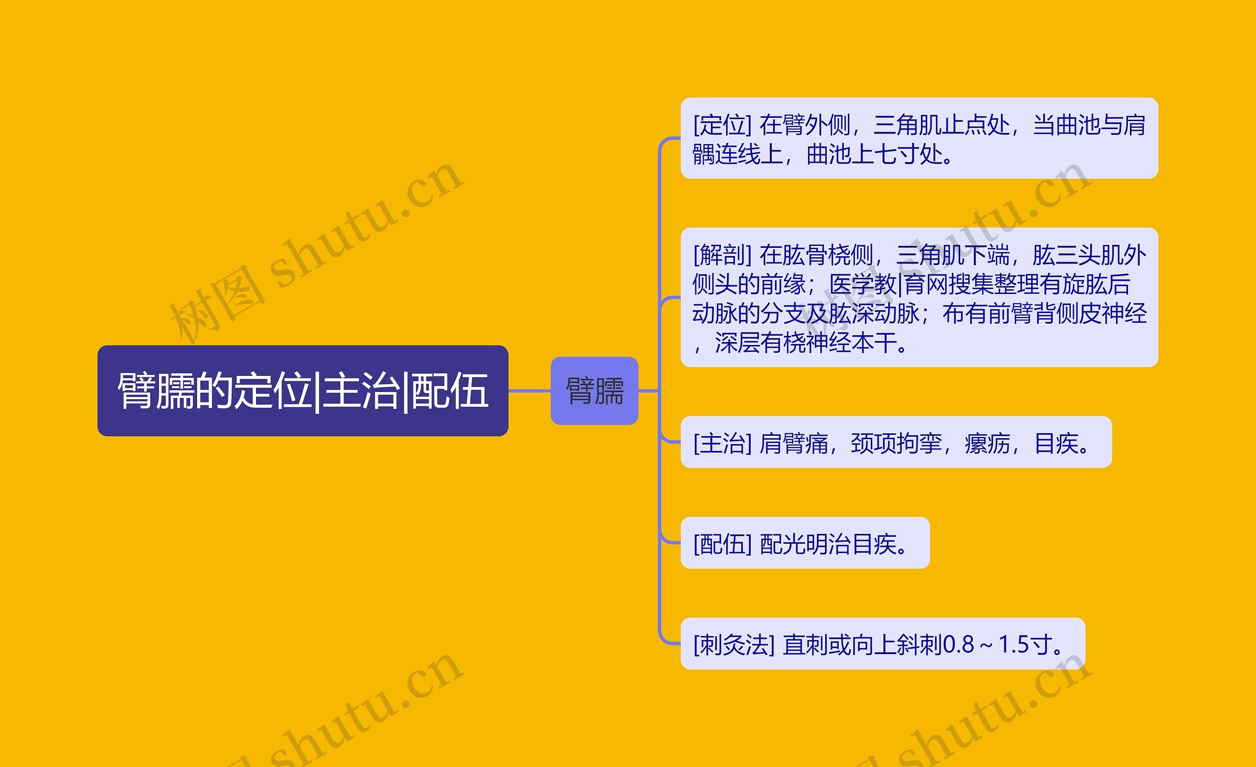 臂臑的定位|主治|配伍 臂臑的定位|主治|配伍