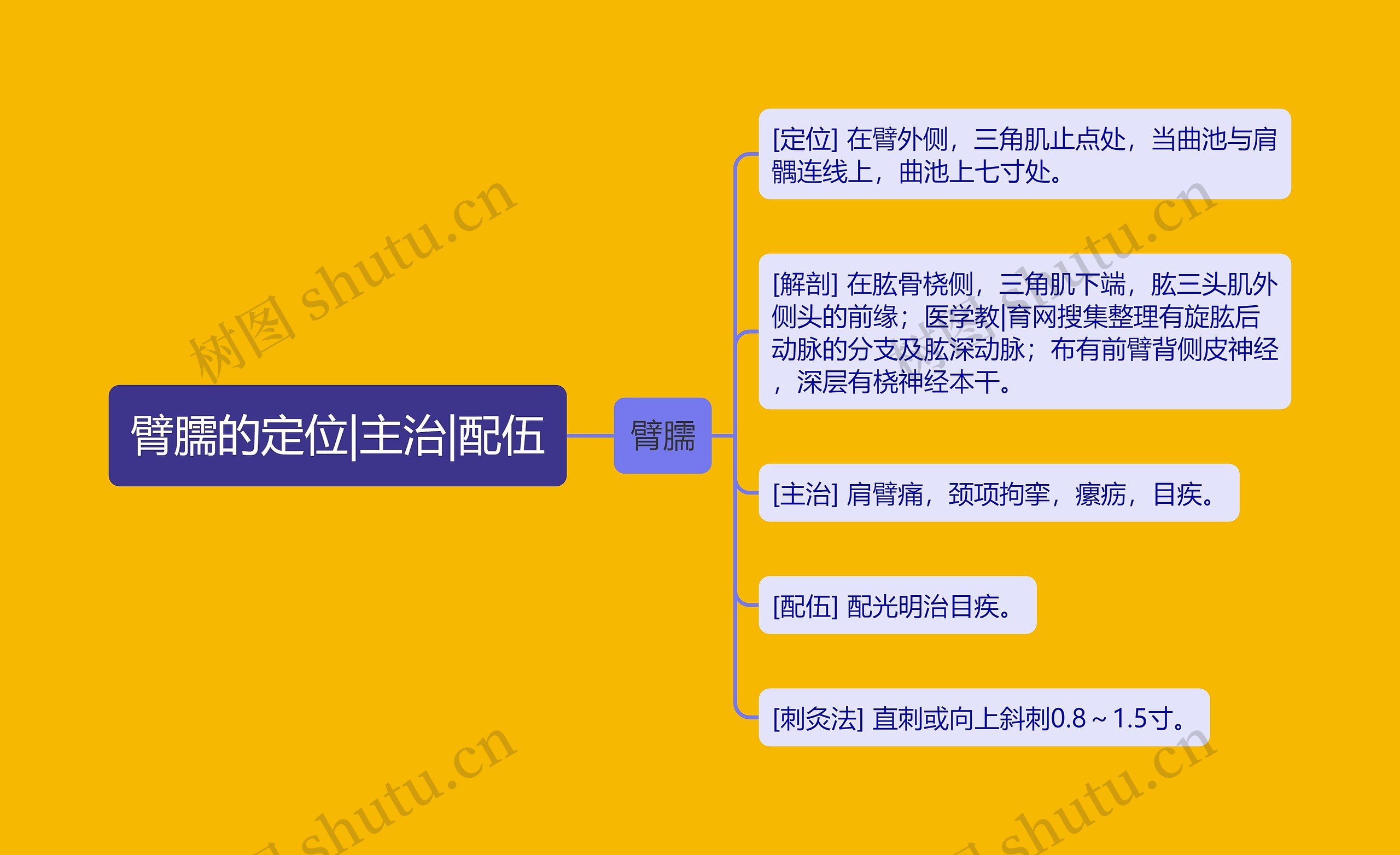 臂臑的定位|主治|配伍思维导图