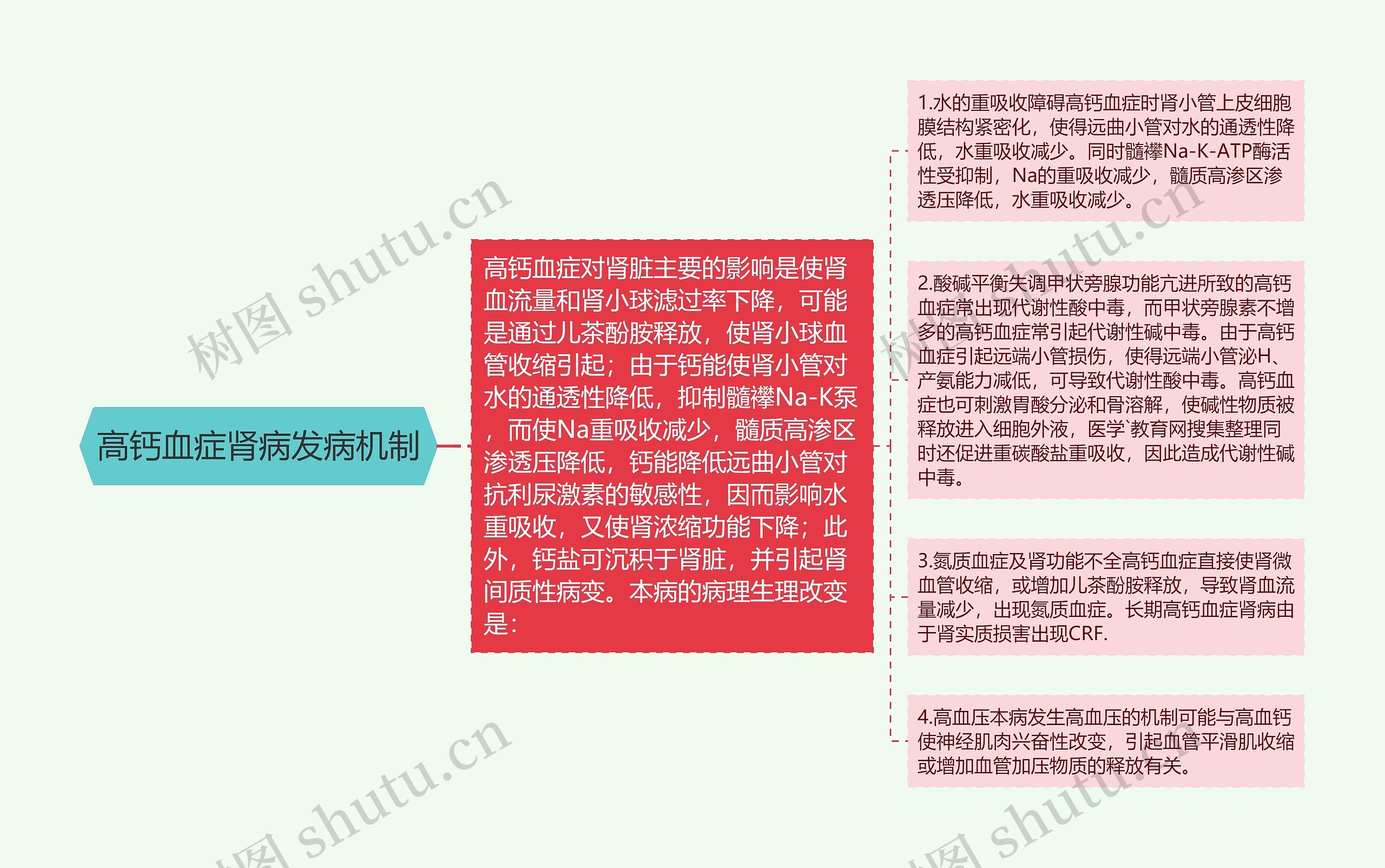 高钙血症肾病发病机制