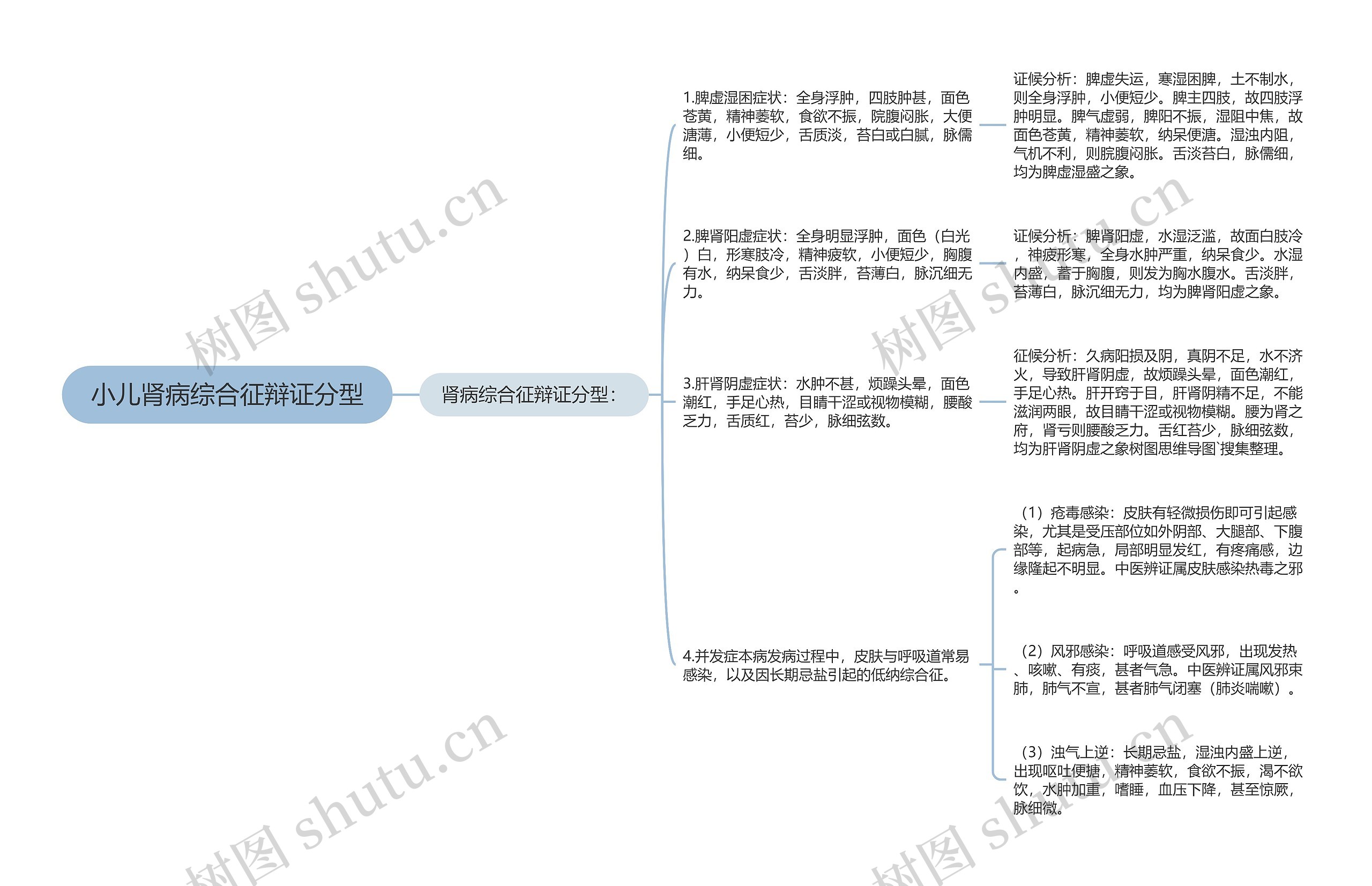 小儿肾病综合征辩证分型思维导图