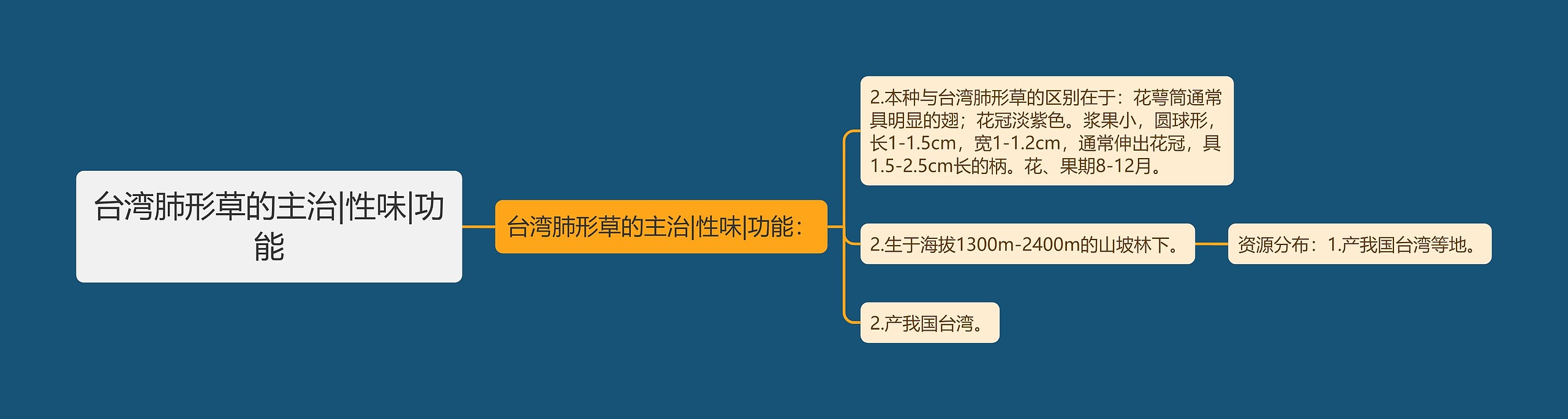 台湾肺形草的主治|性味|功能思维导图