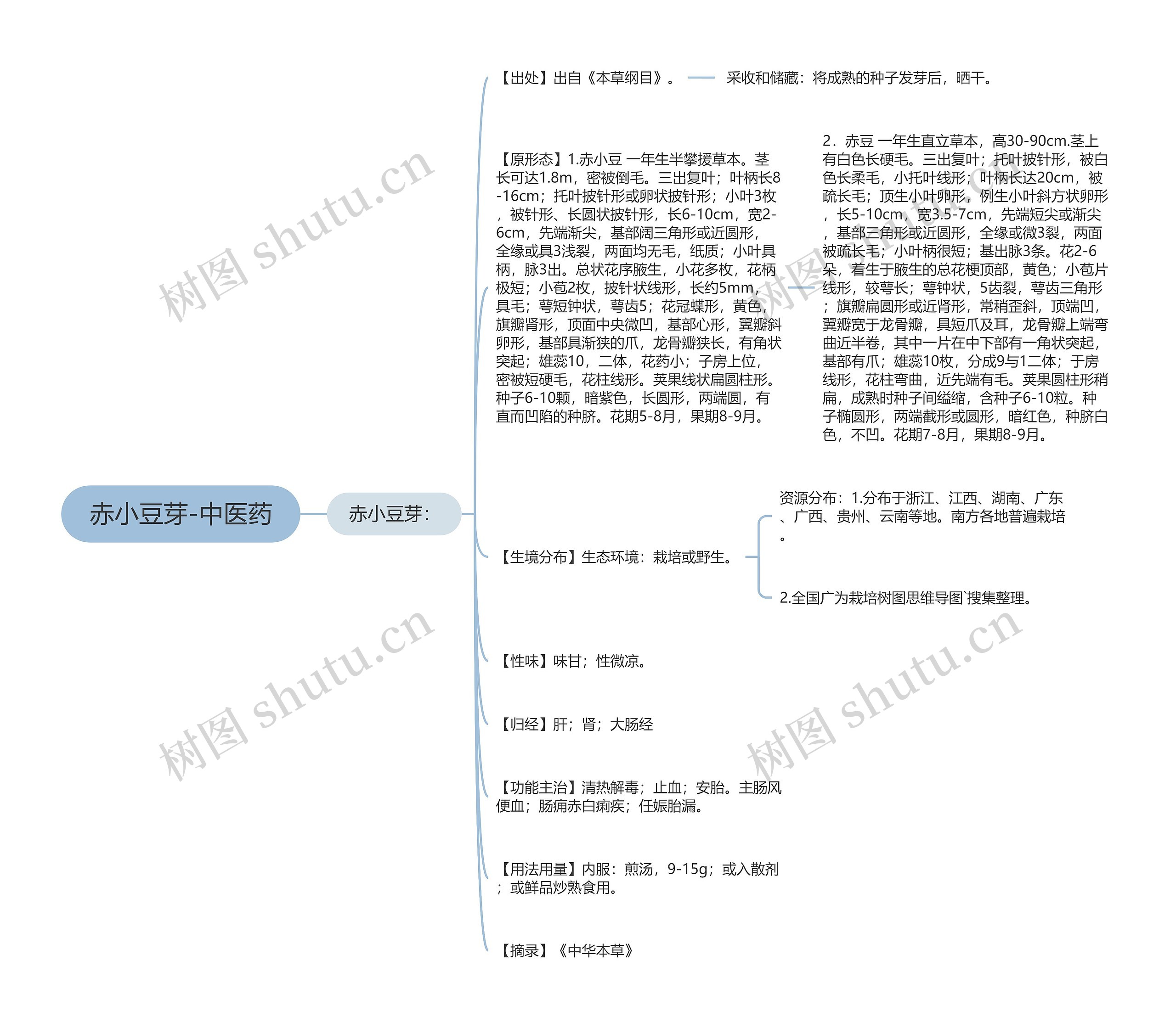 赤小豆芽-中医药思维导图